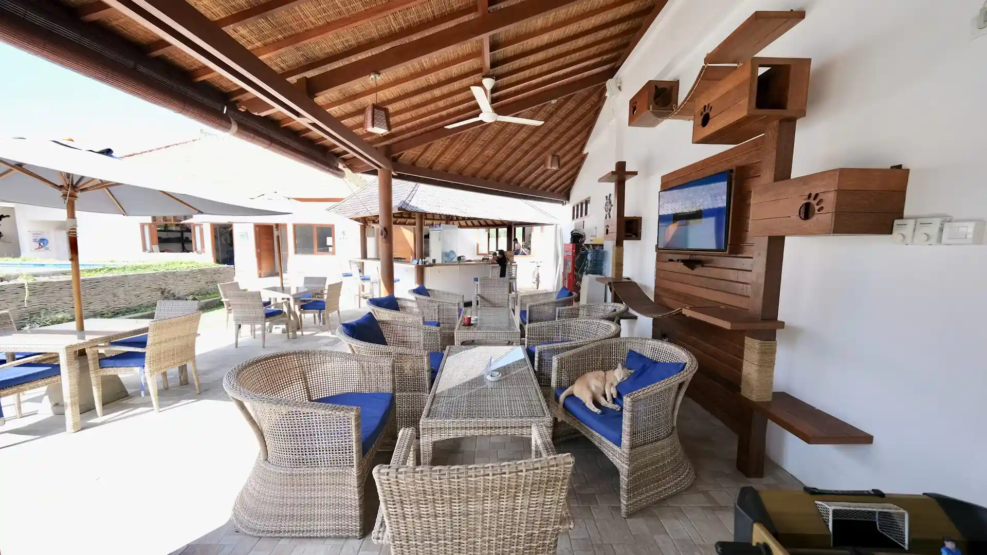 Foto de la tienda de buceo