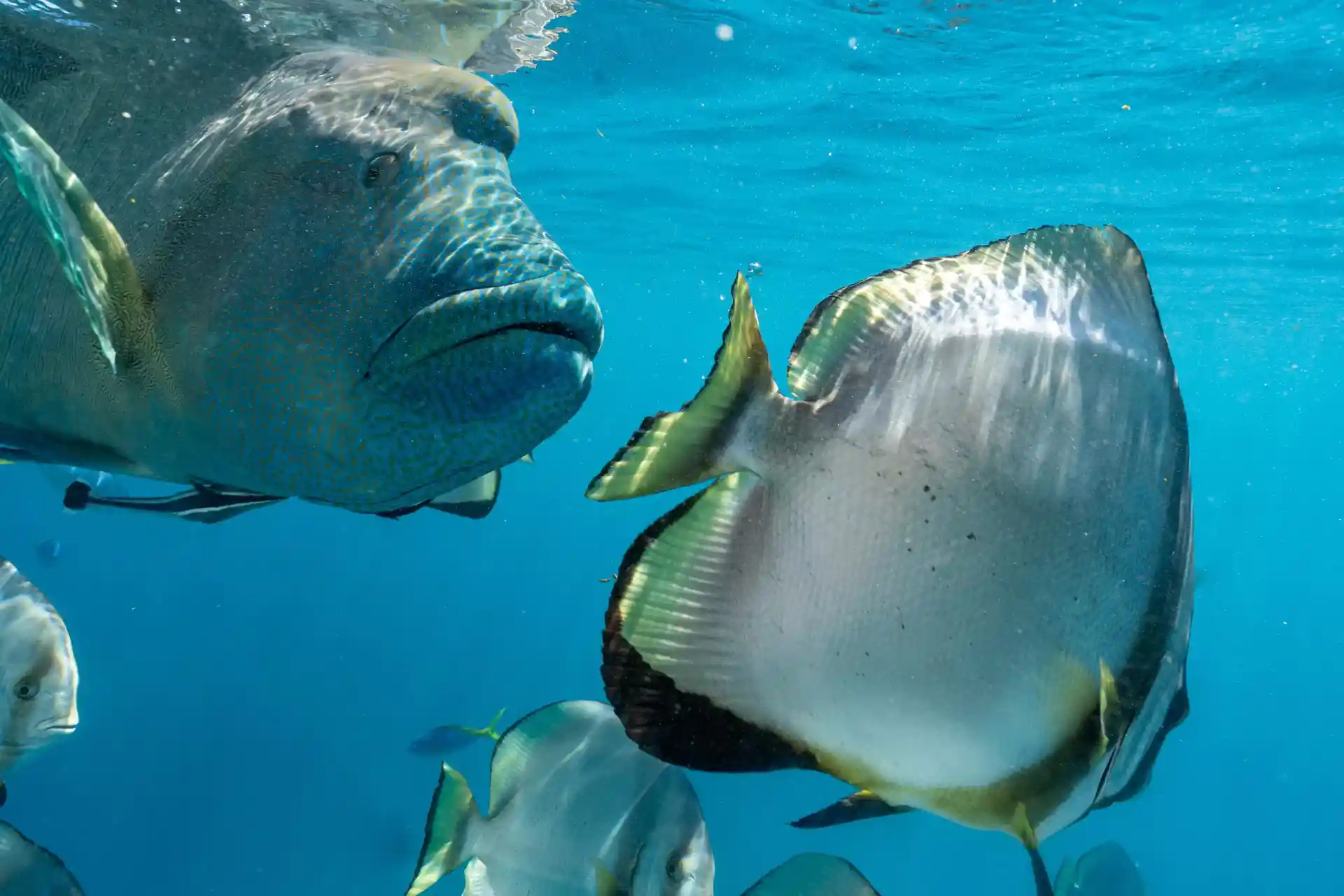 Dive shop photo