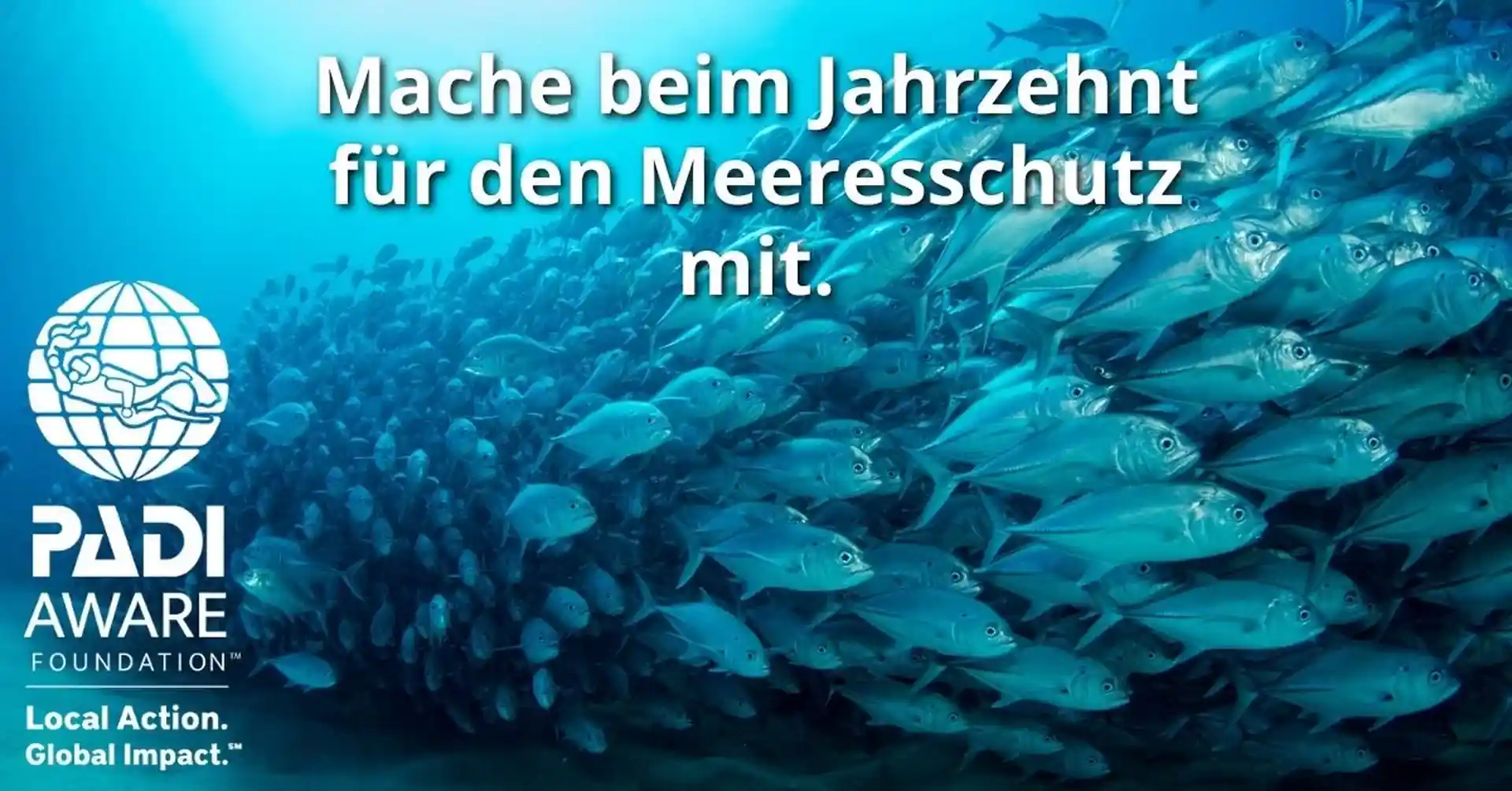 Foto de la actividad