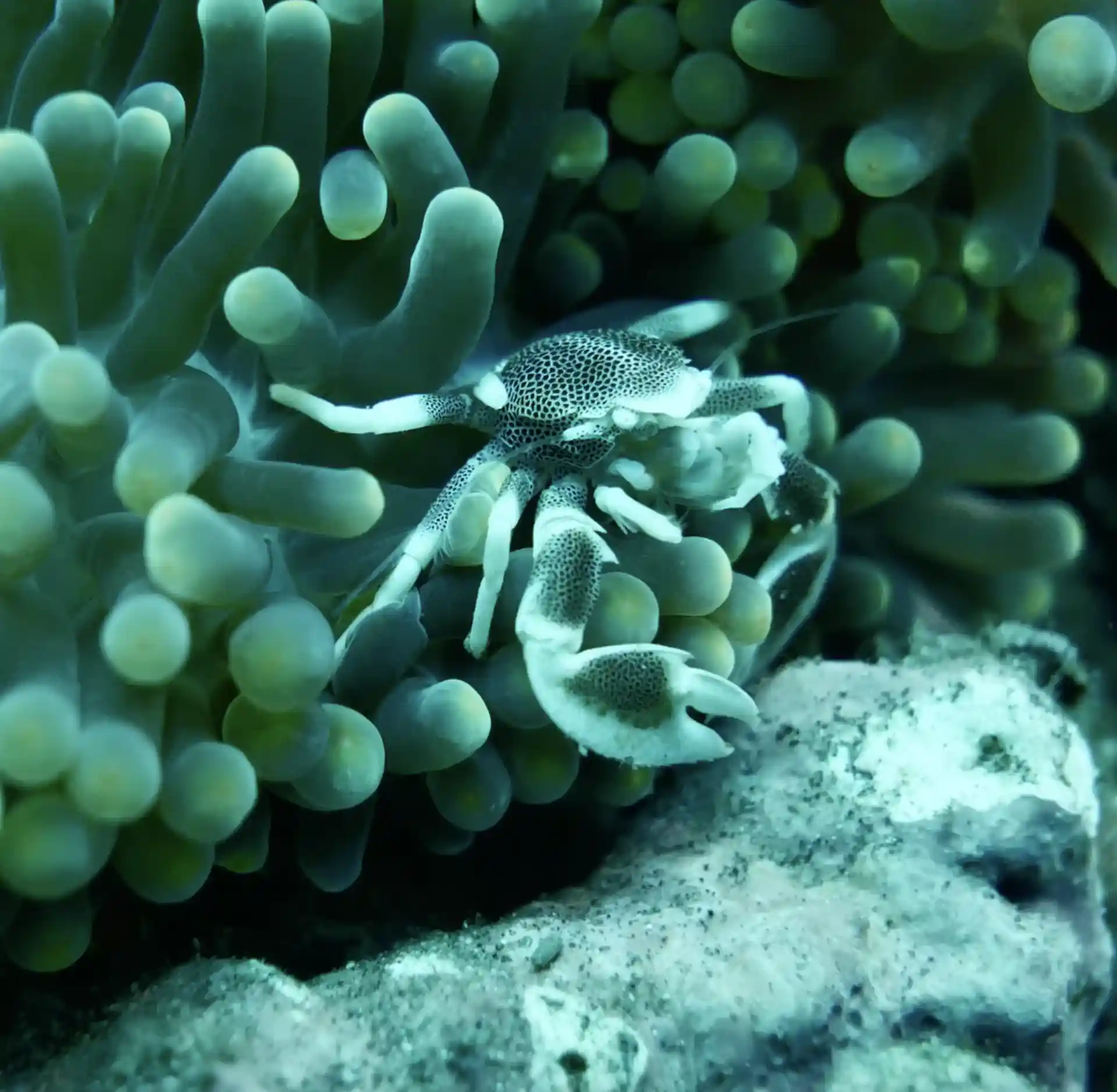 Dive shop photo