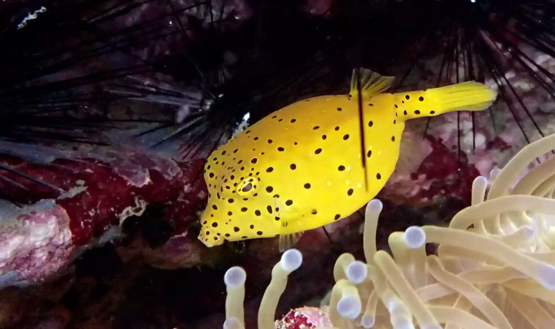 다이빙 포인트 사진