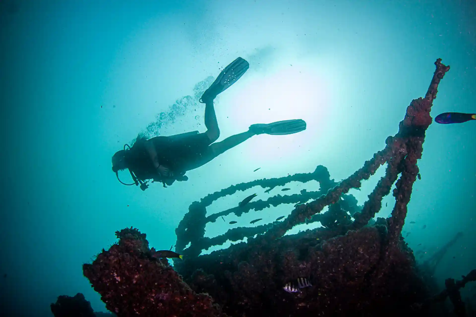 Dive site photo