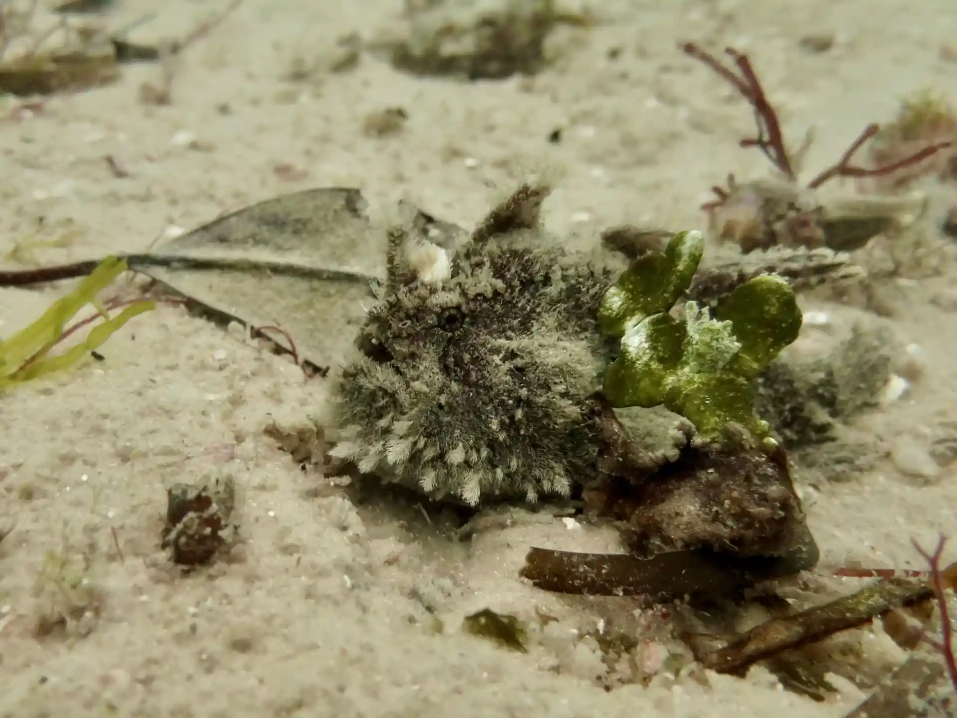 Dive site photo