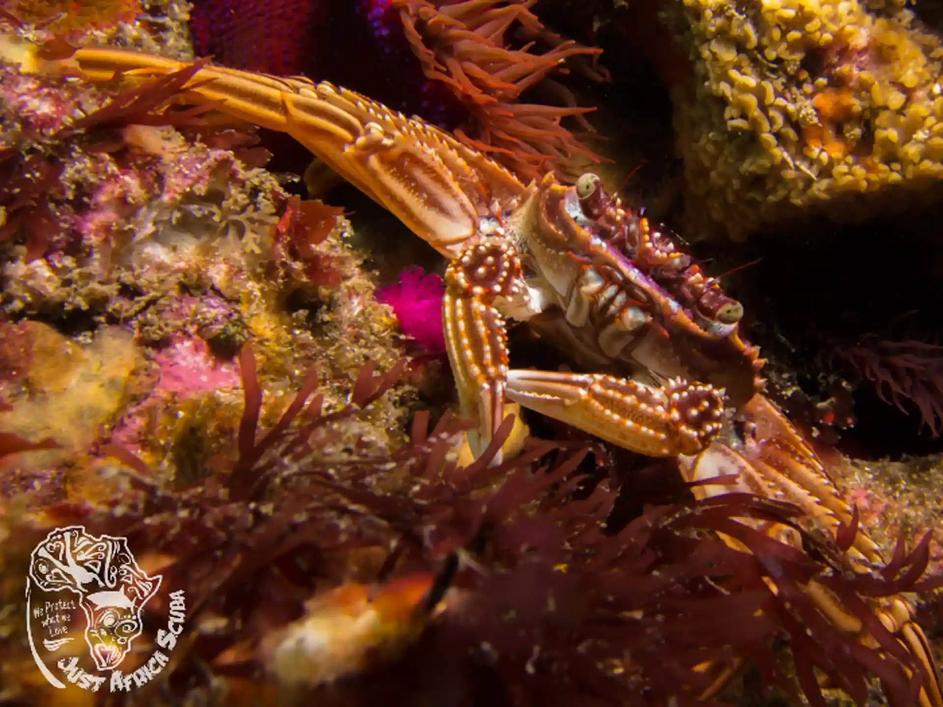 Dive site photo