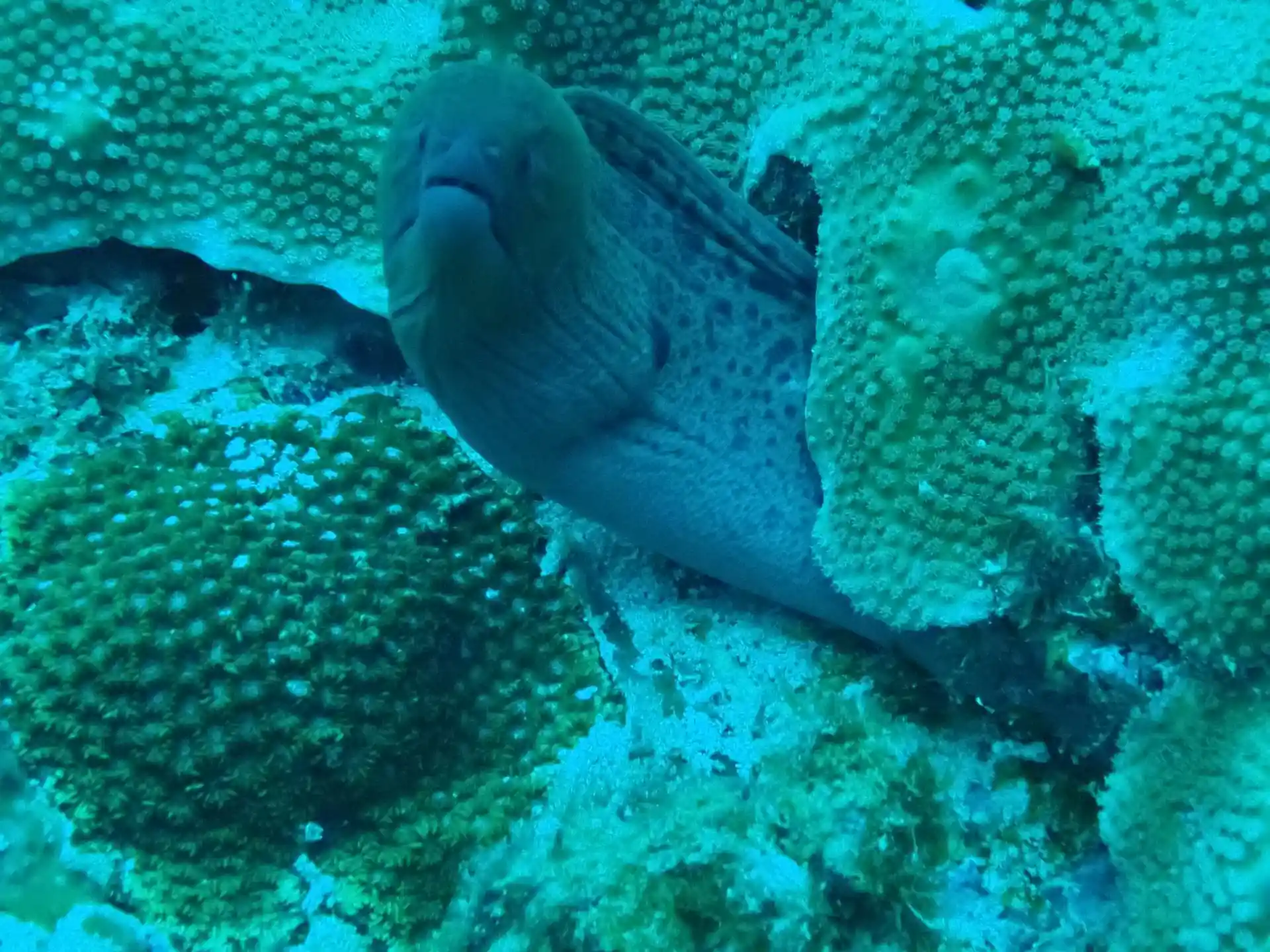 Dive site photo