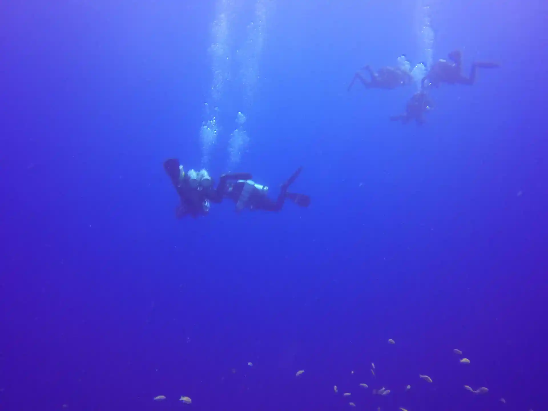 Dive shop photo