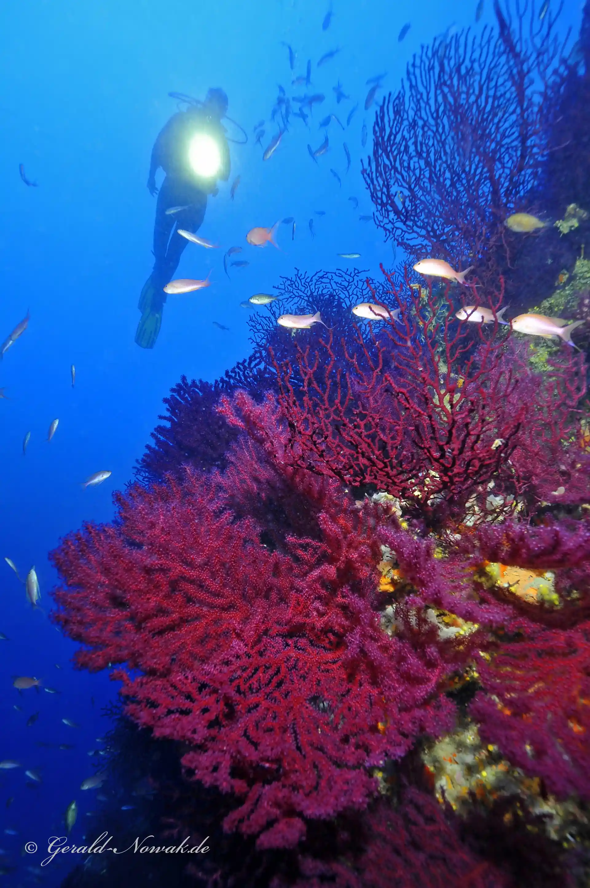 Photo de l'activité