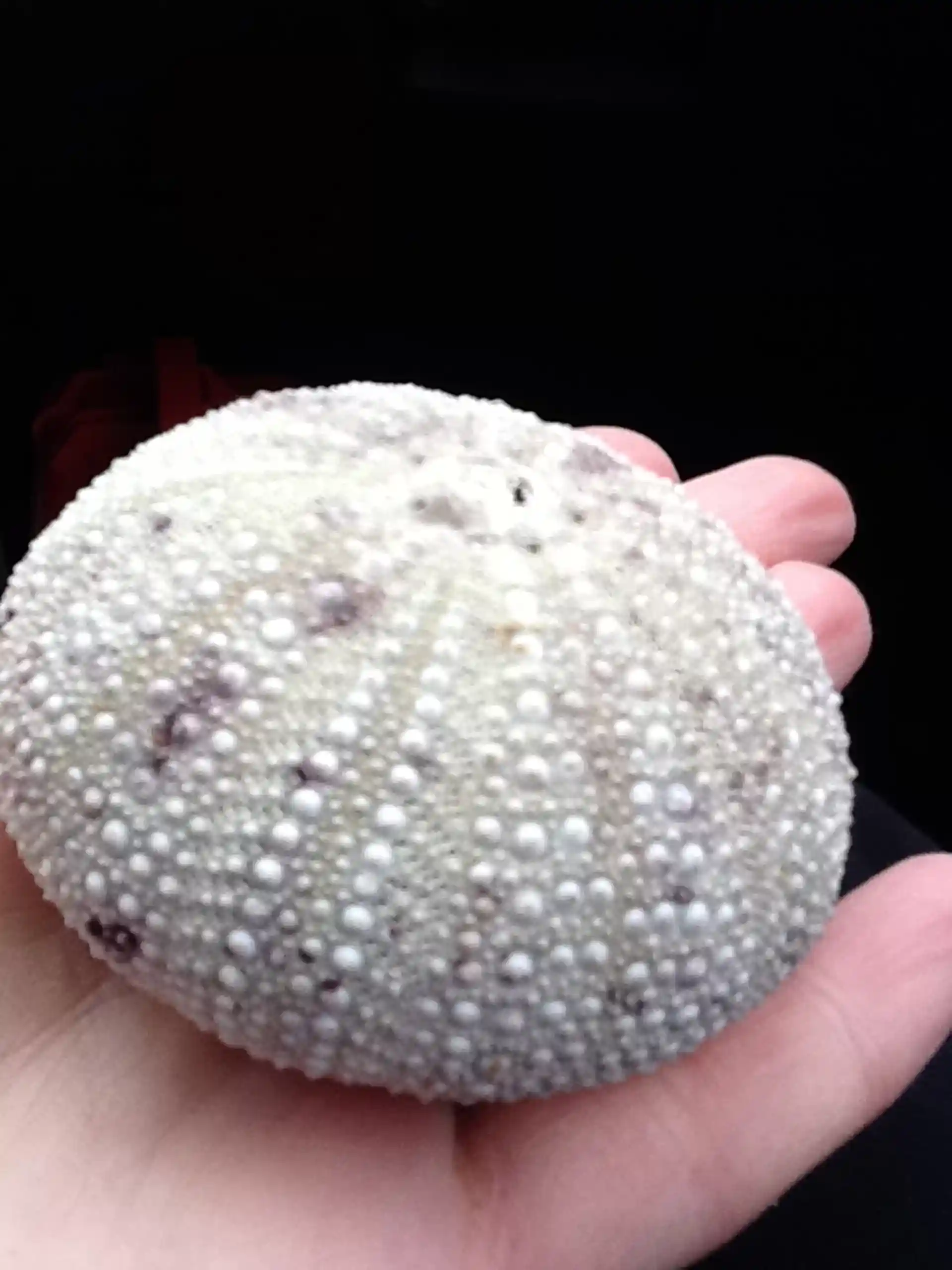 다이빙 포인트 사진