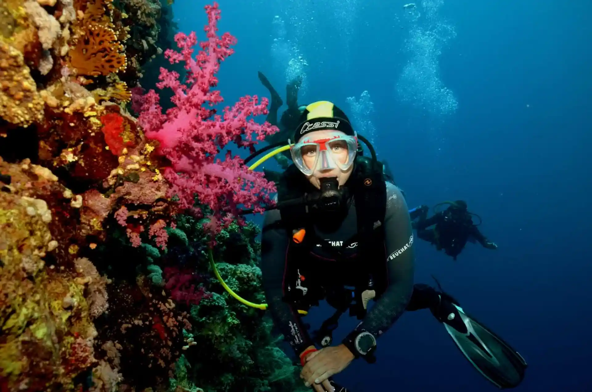 Enjoy shore and boat diving