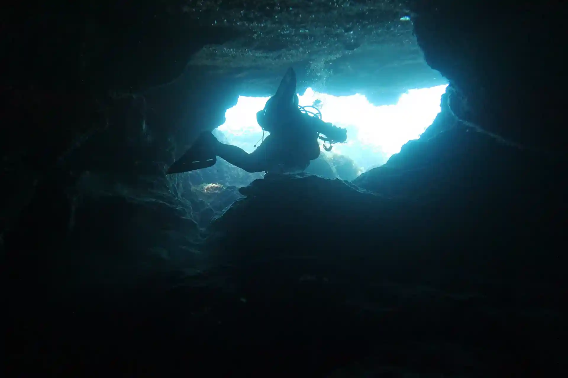 ダイビングサイトの写真