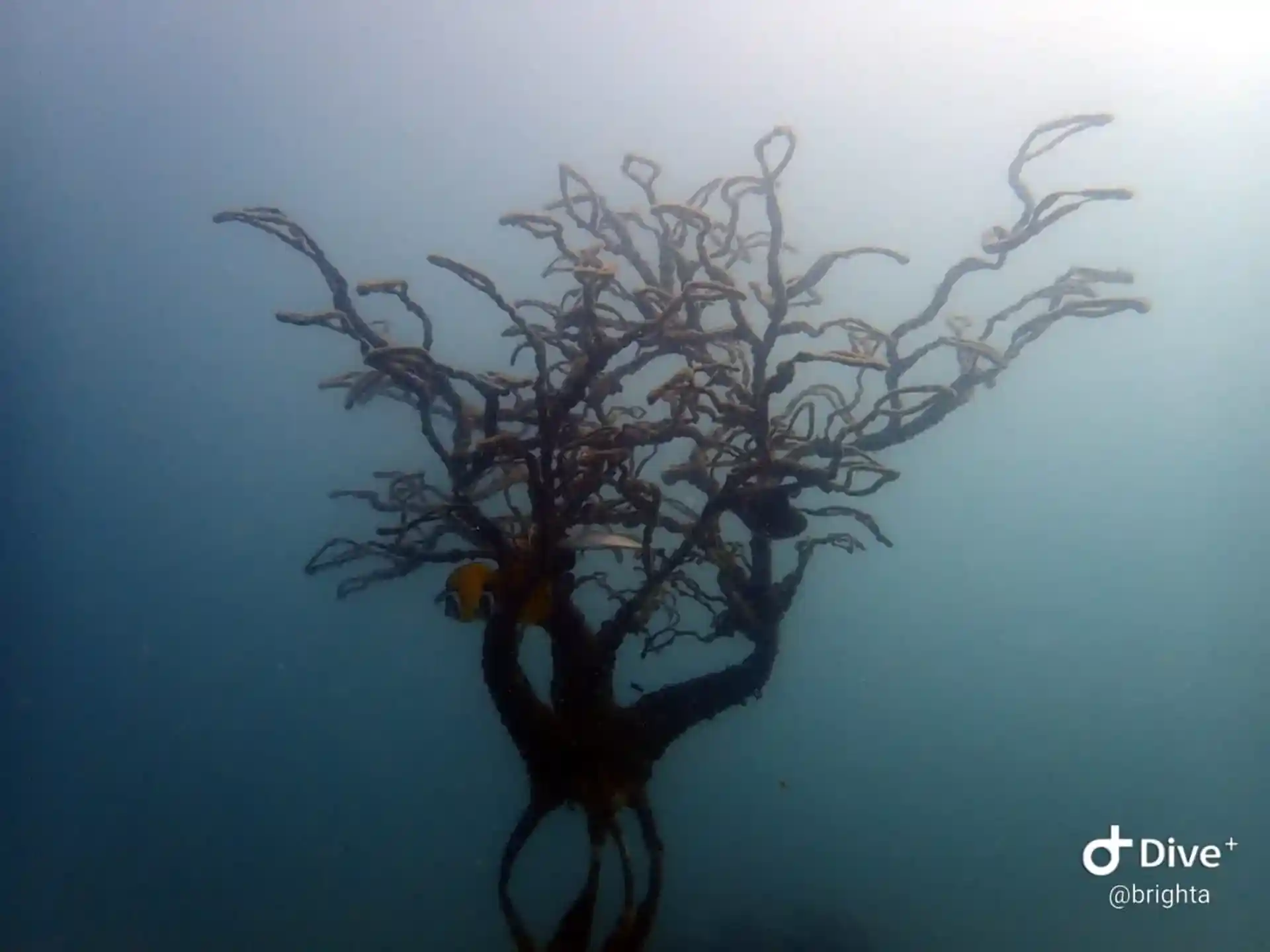 다이빙 포인트 사진