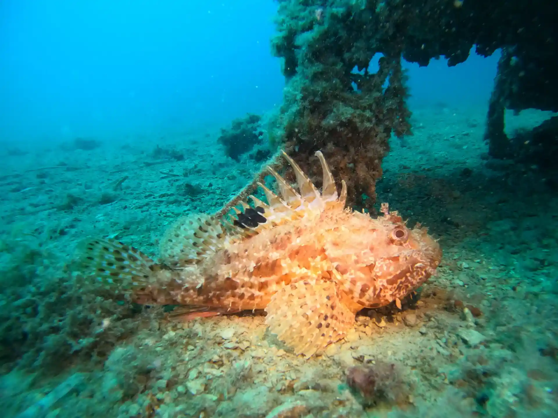 Foto des Tauchplatzes