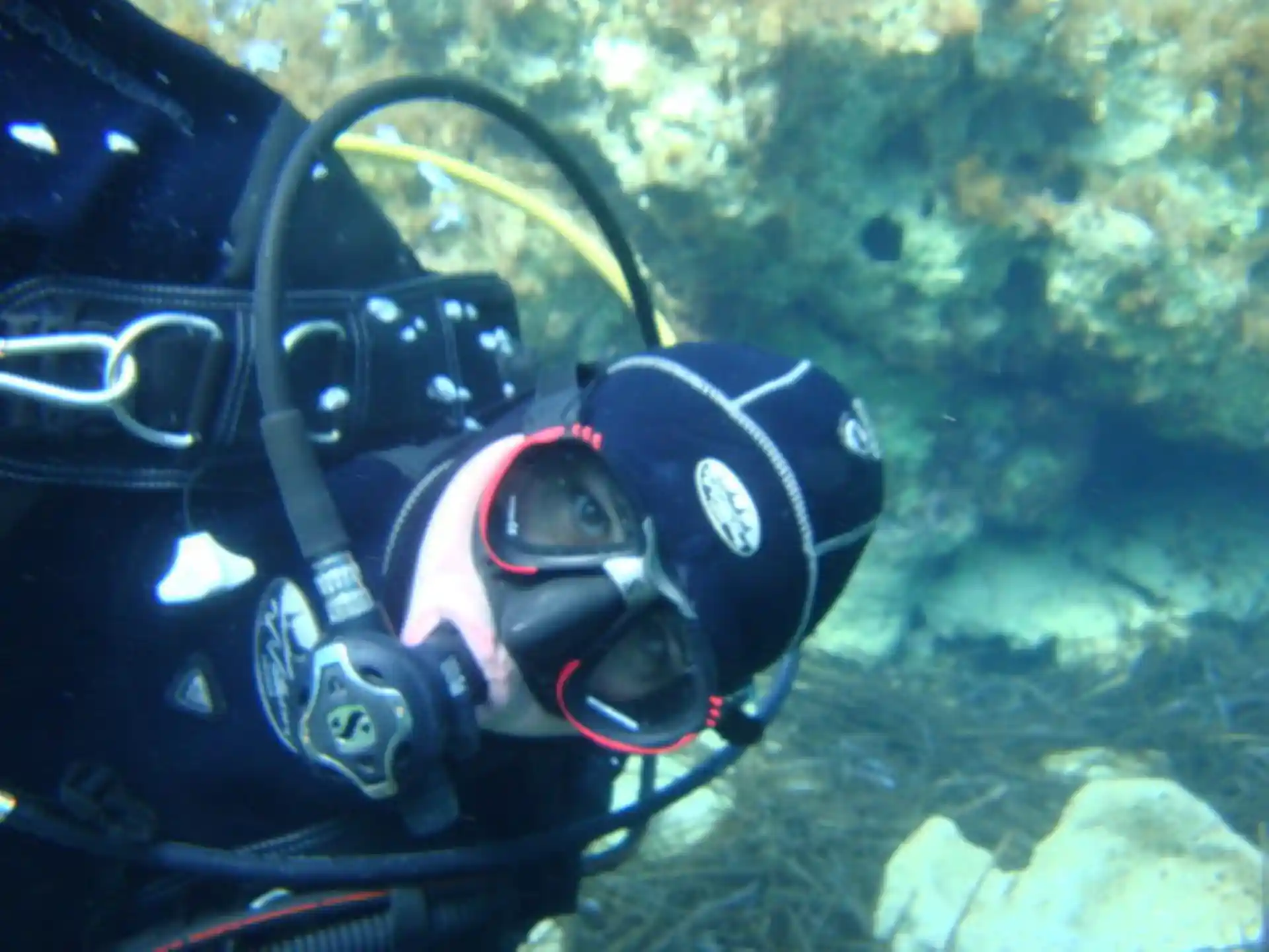 Discover Scuba Diving with Coral Bay Divers. Pure happiness