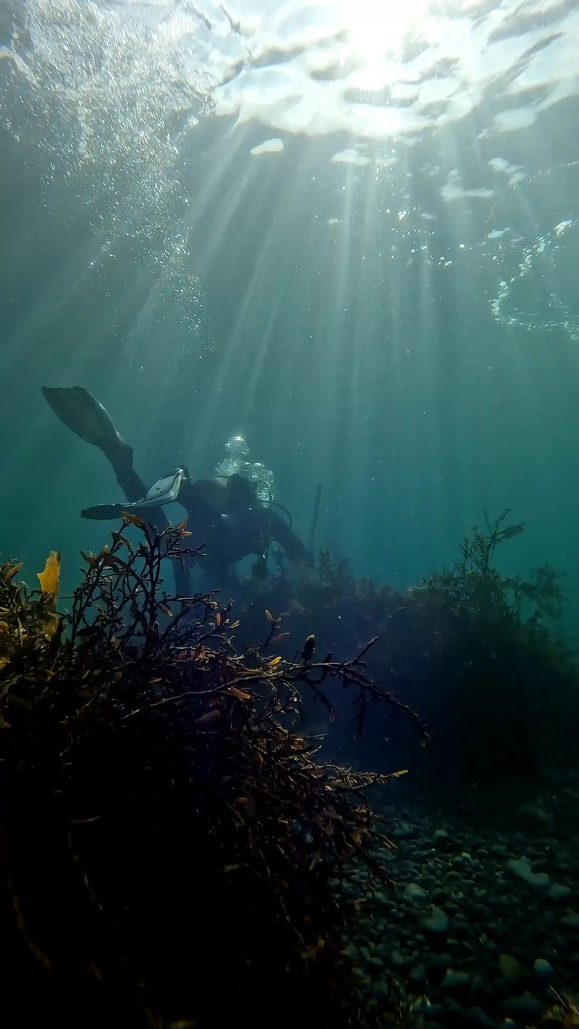 Dive site photo