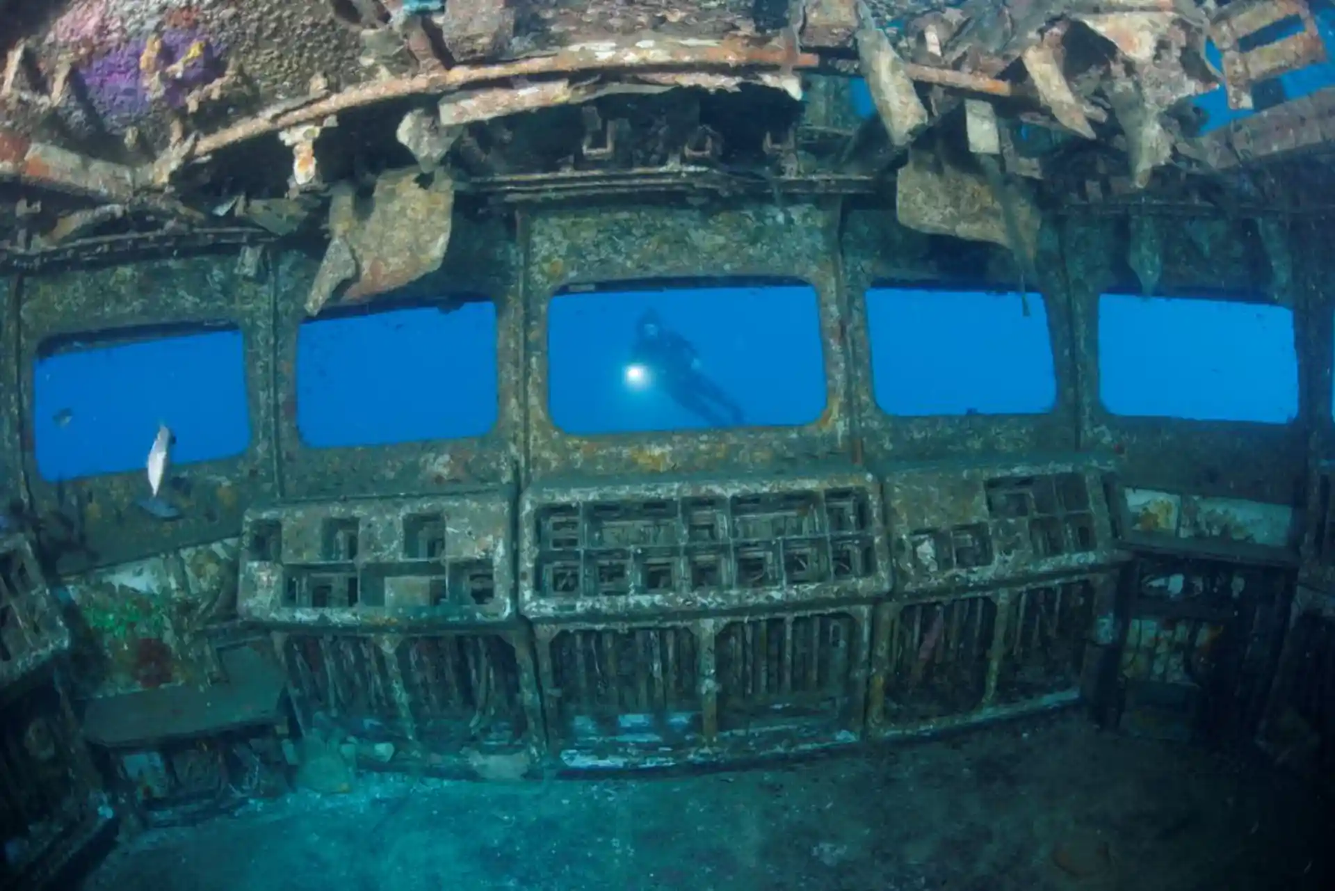 ダイビングサイトの写真