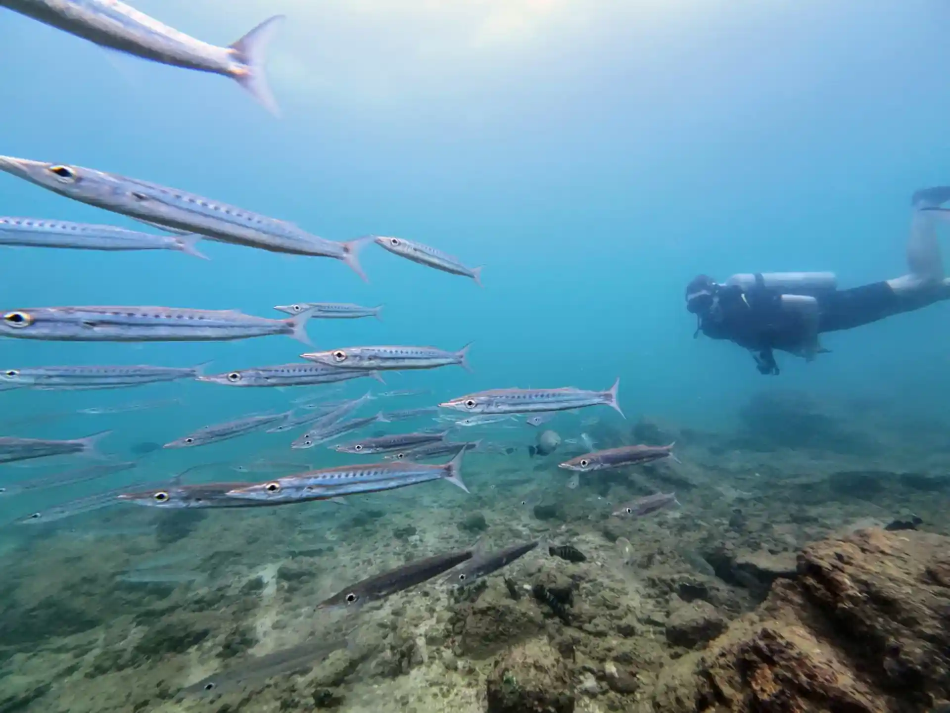 Dive site photo