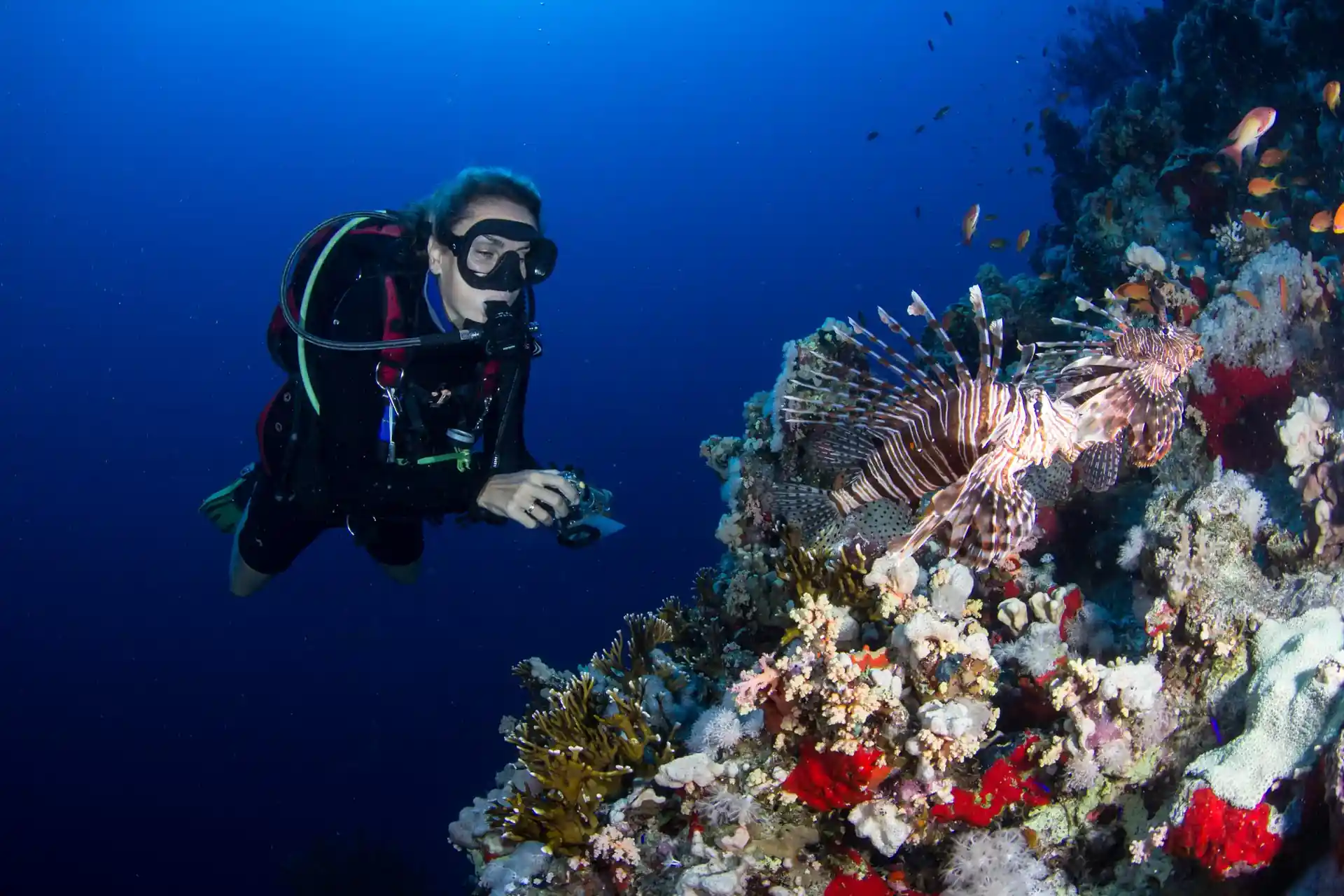 다이빙 포인트 사진