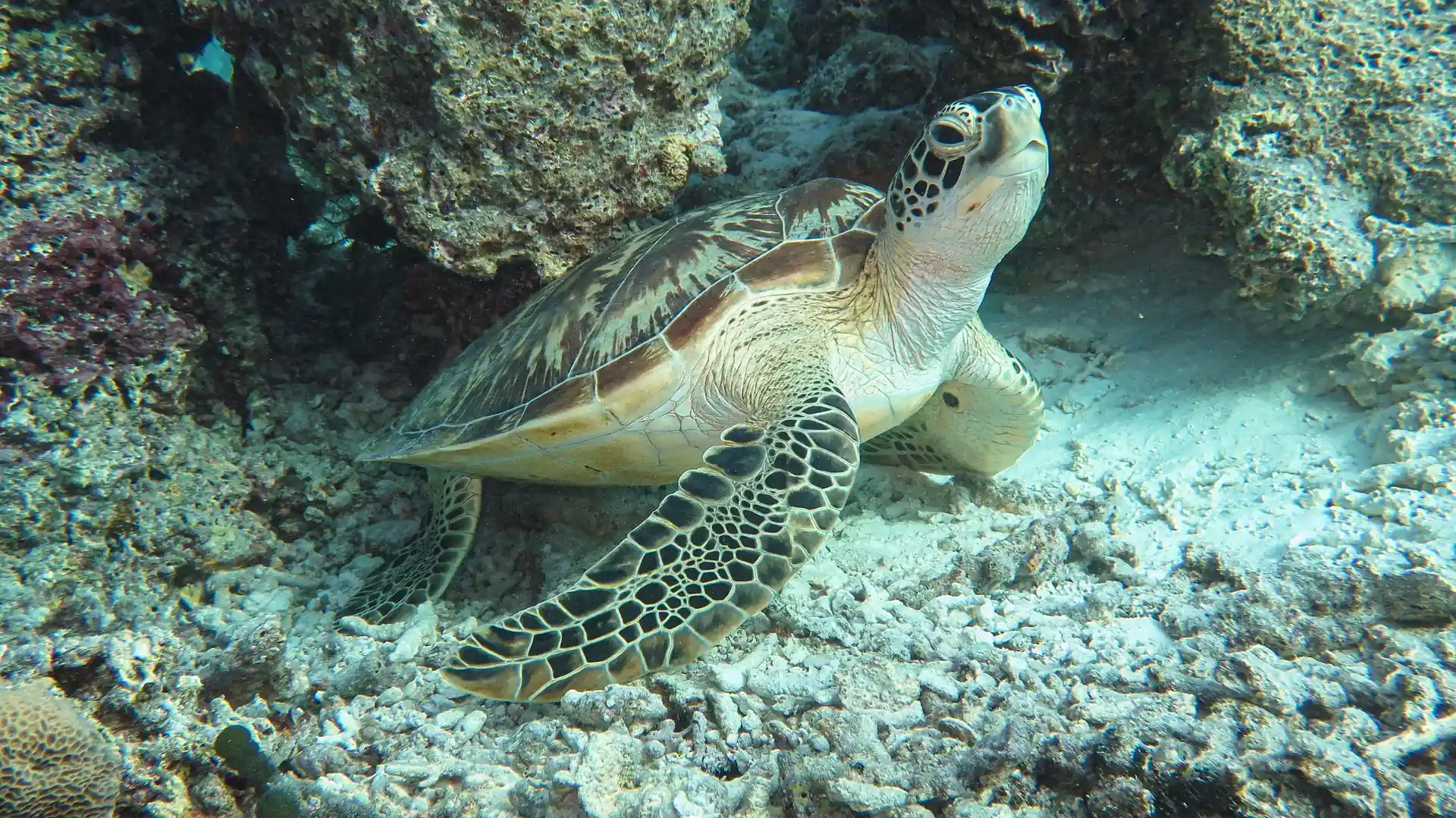Dive site photo