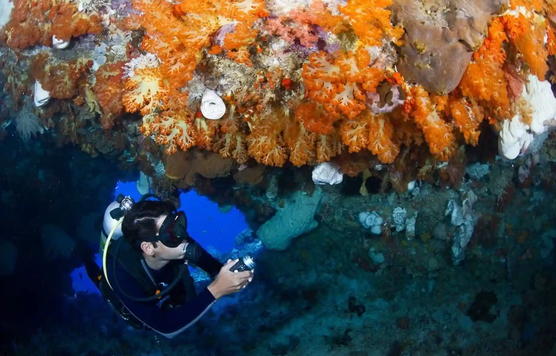 Dive shop photo