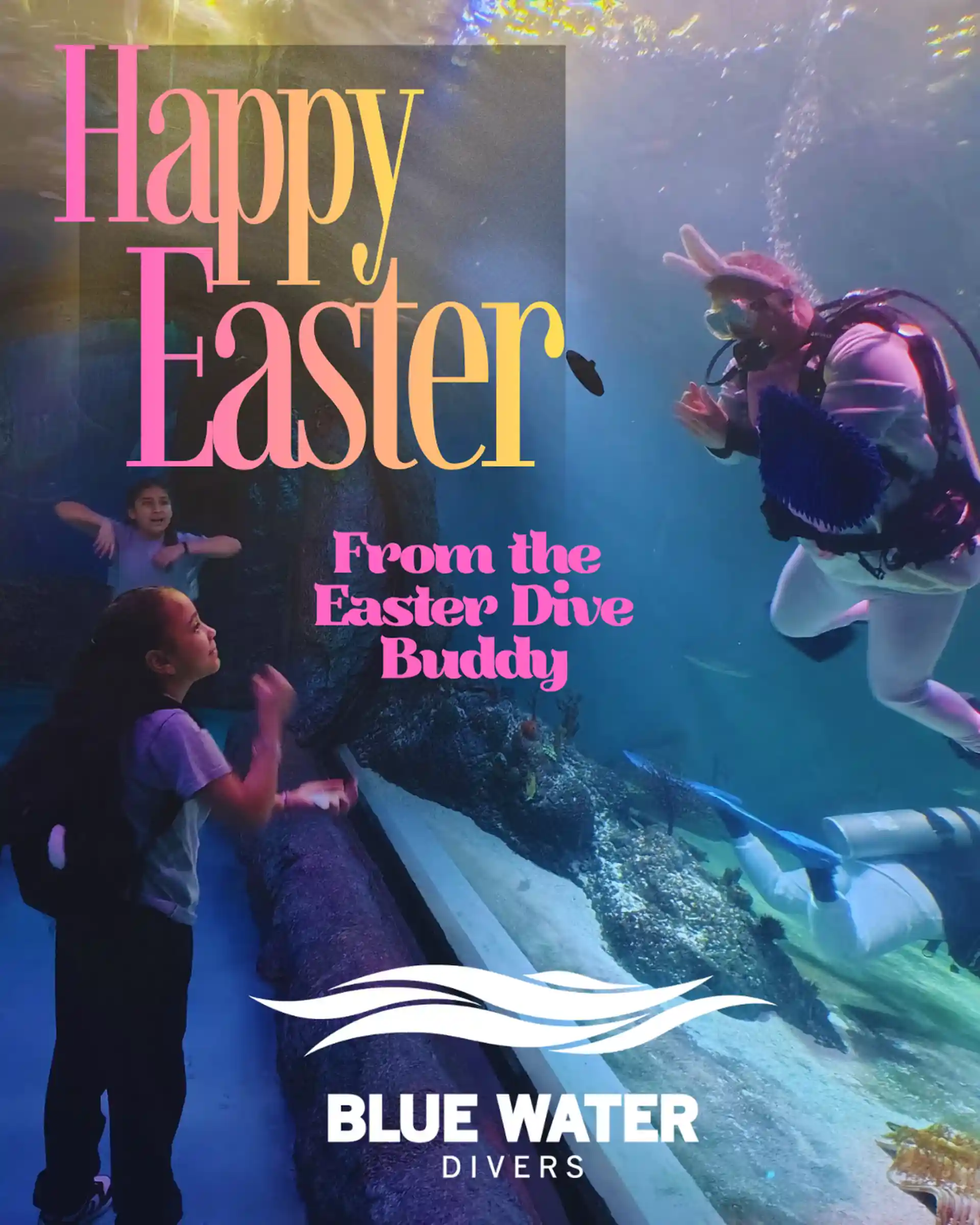 Dive shop photo