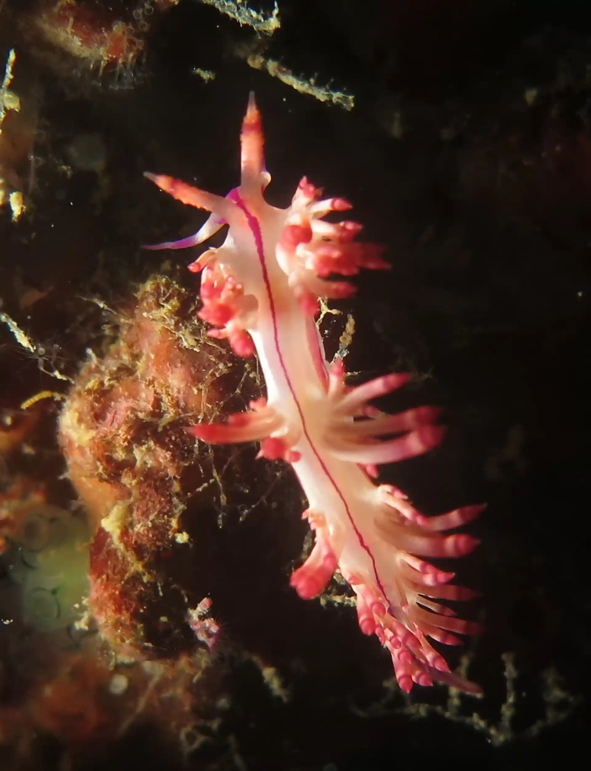 Dive site photo
