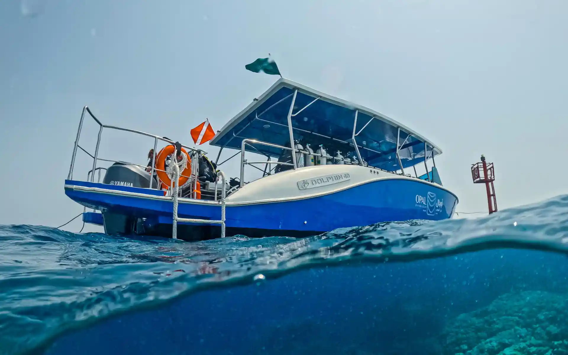 Dive shop photo