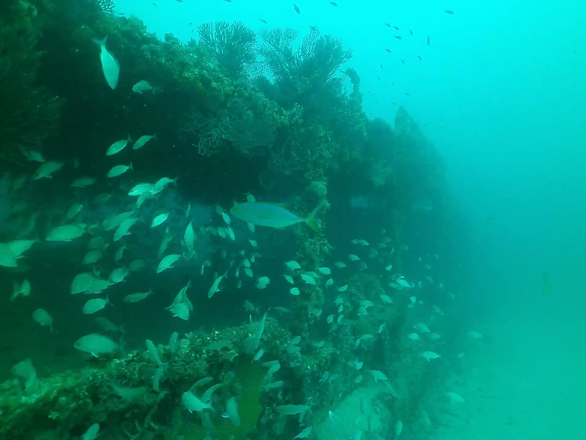 Dive site photo