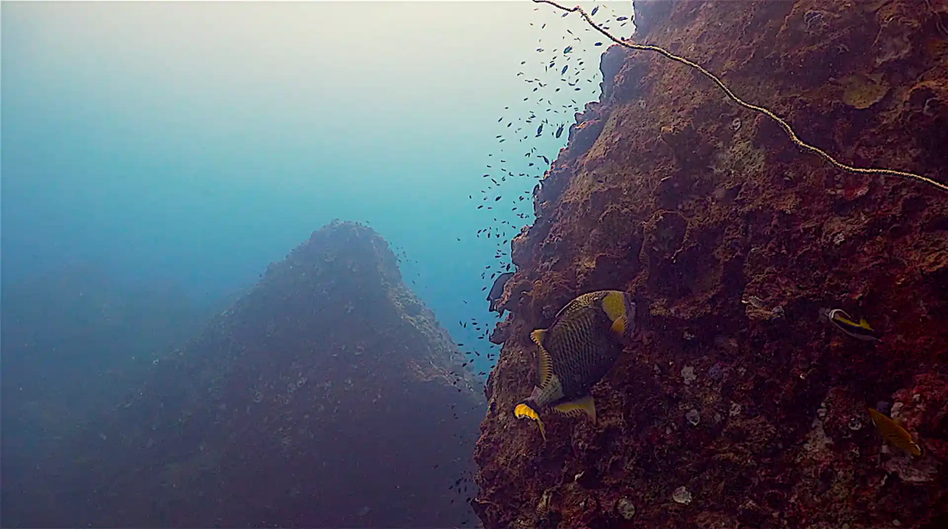Dive site photo