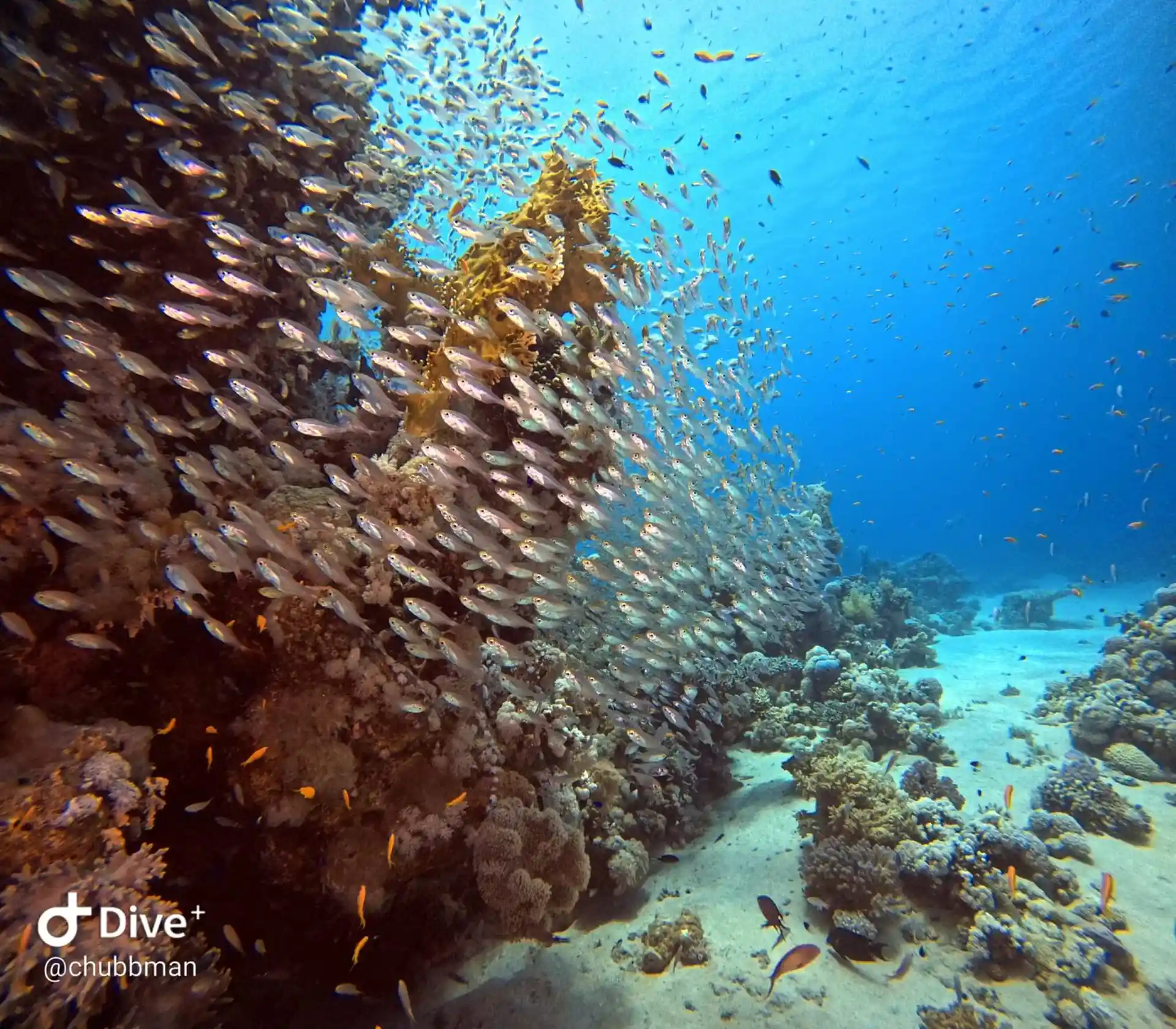 Dive site photo