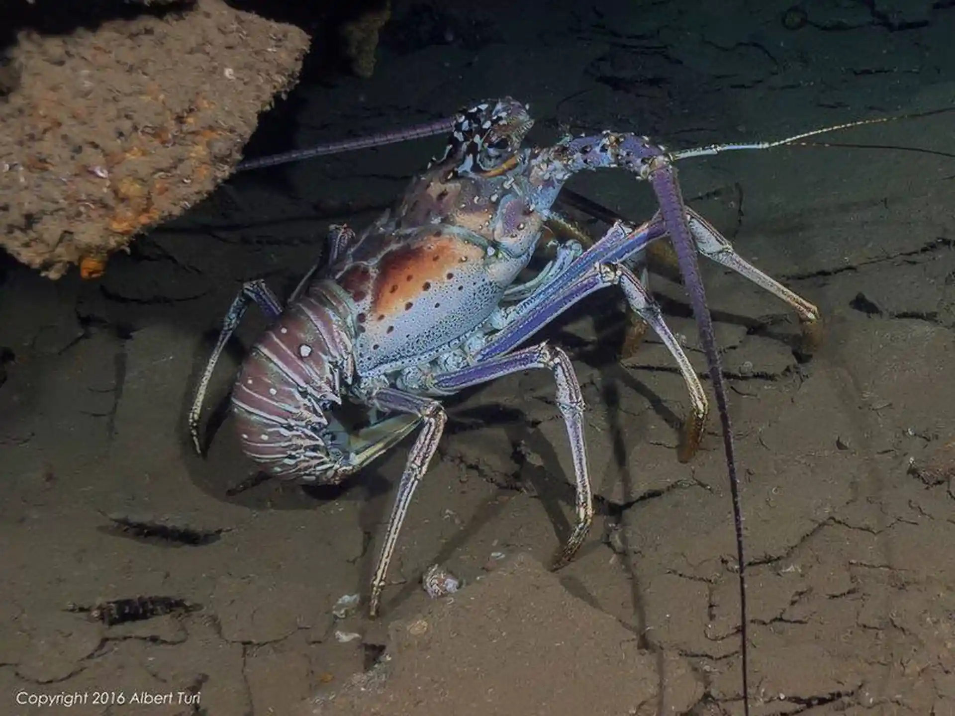 Foto des Tauchplatzes