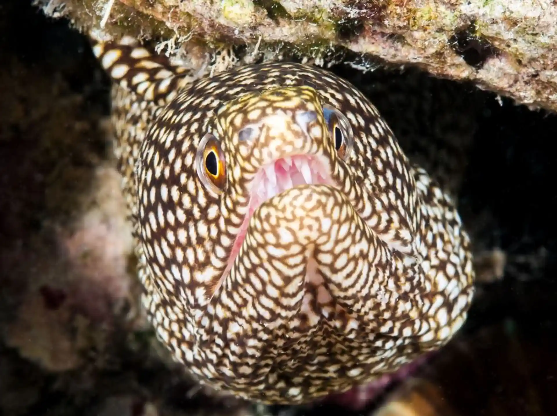 Dive shop photo