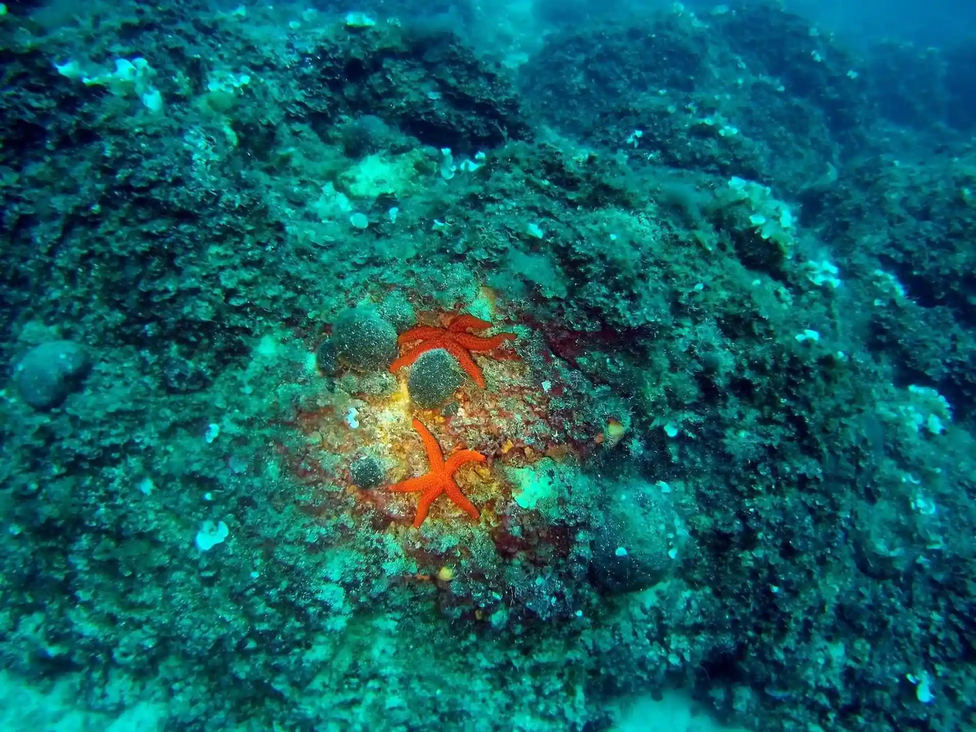 Dive site photo