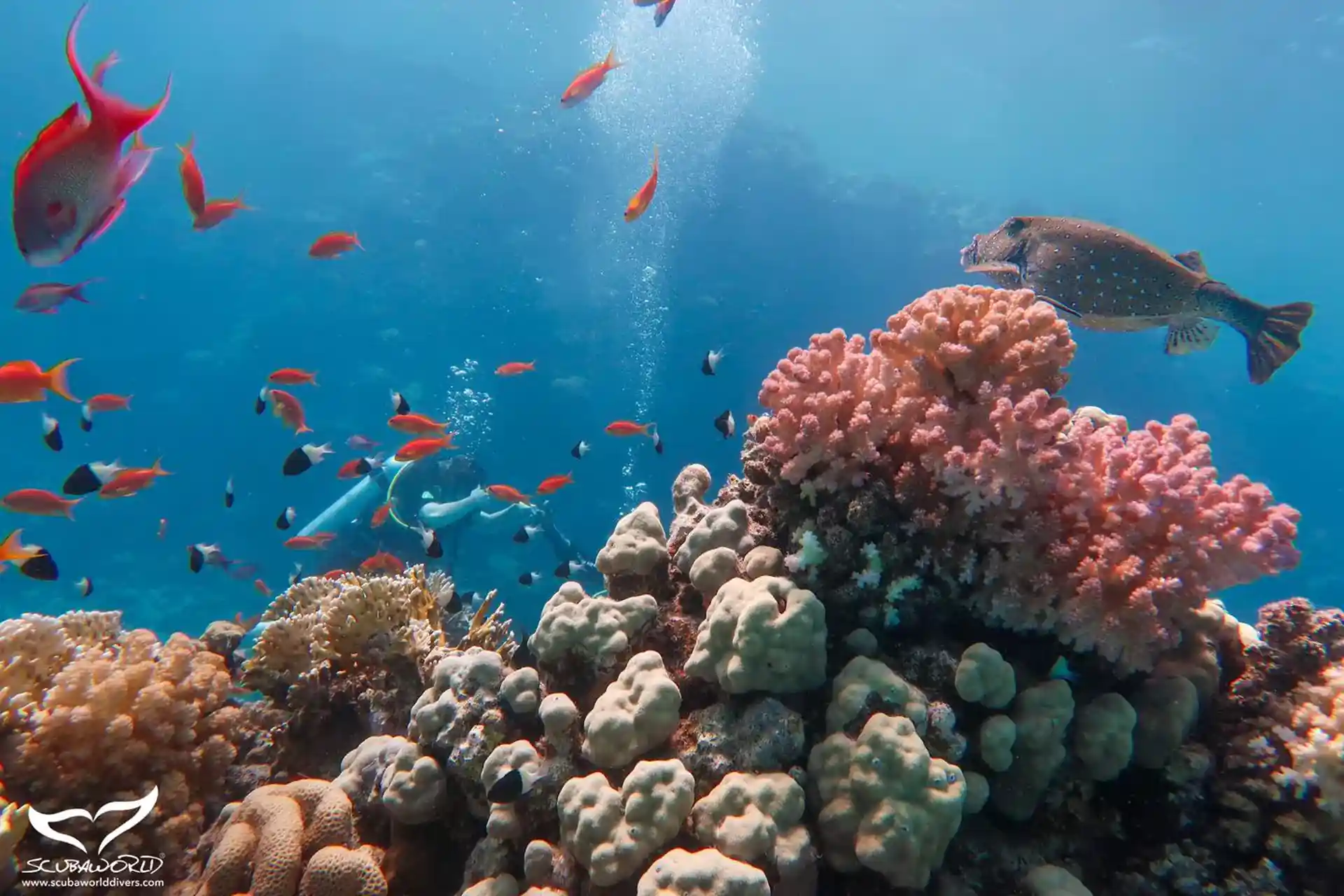 Dive site photo
