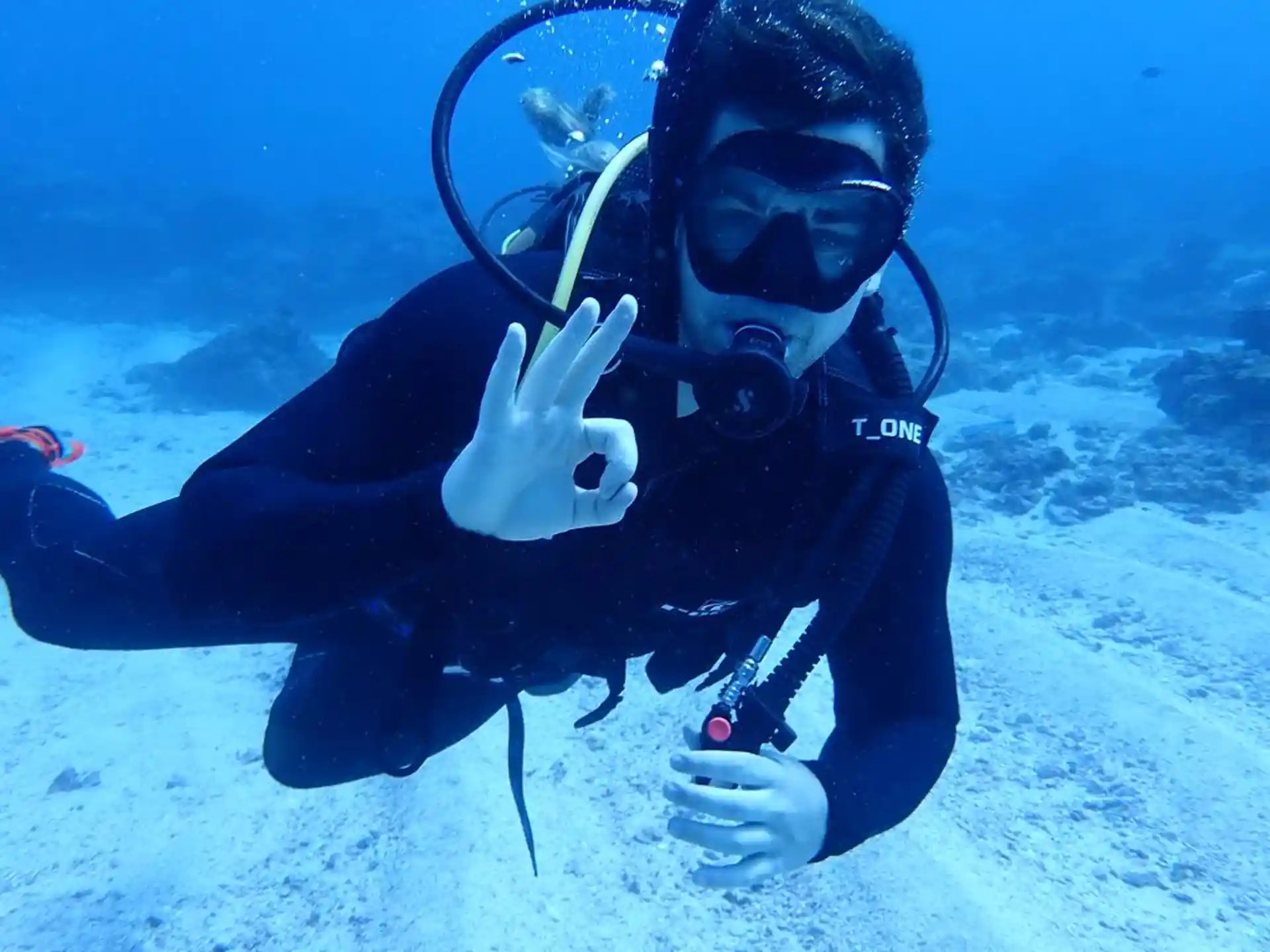 The Ocean is your Oyster......