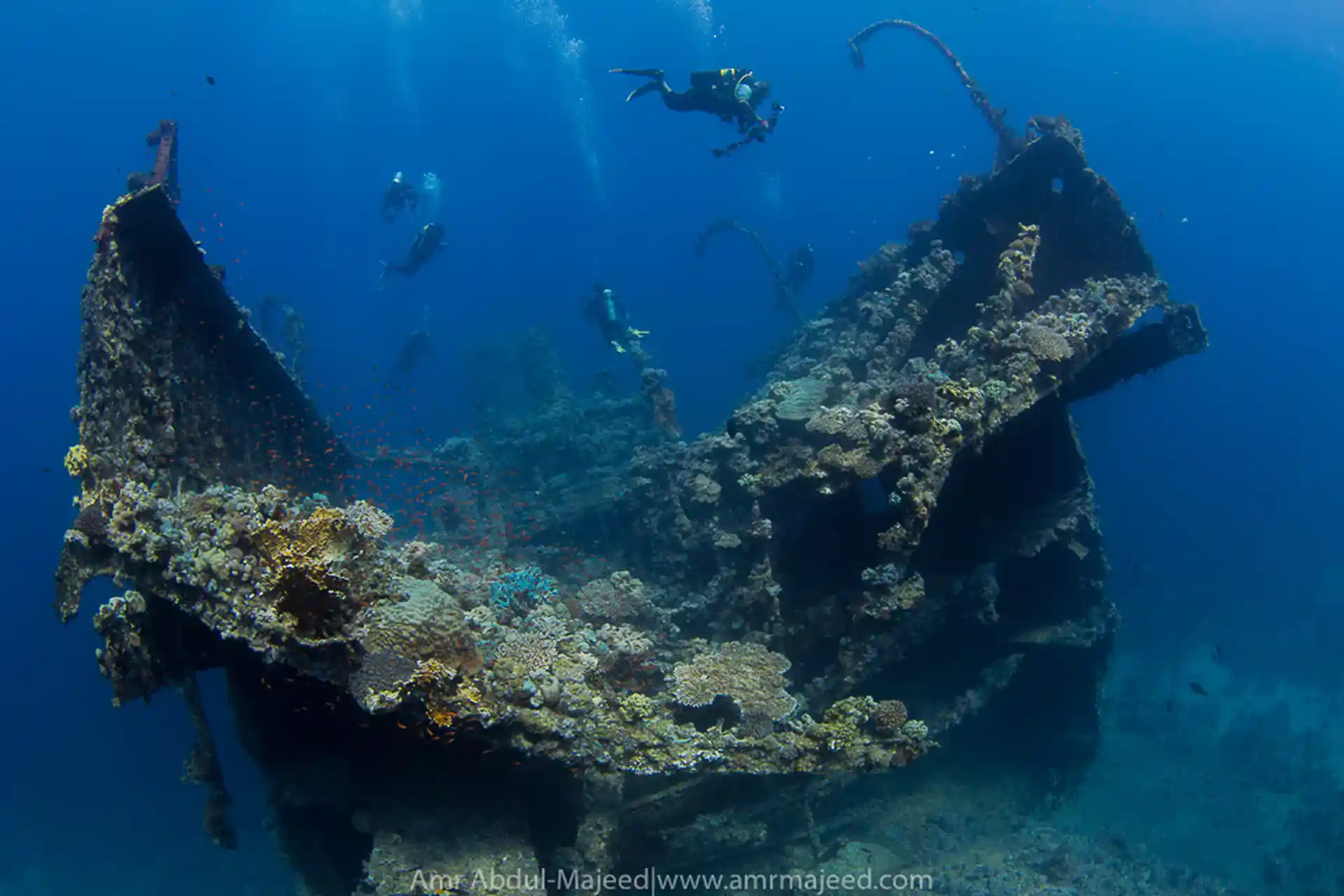 Photo du site de plongée