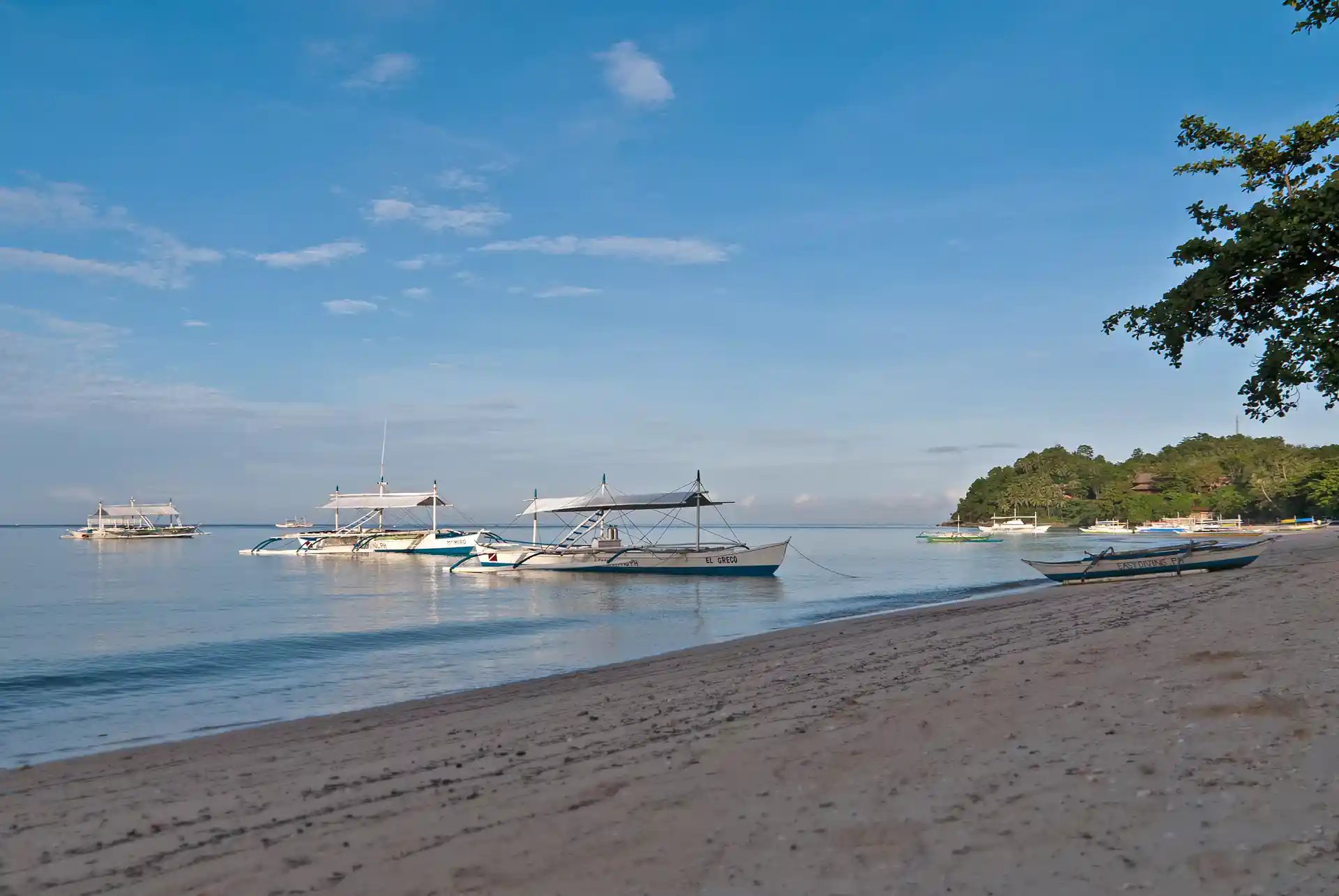 Photo de l'activité