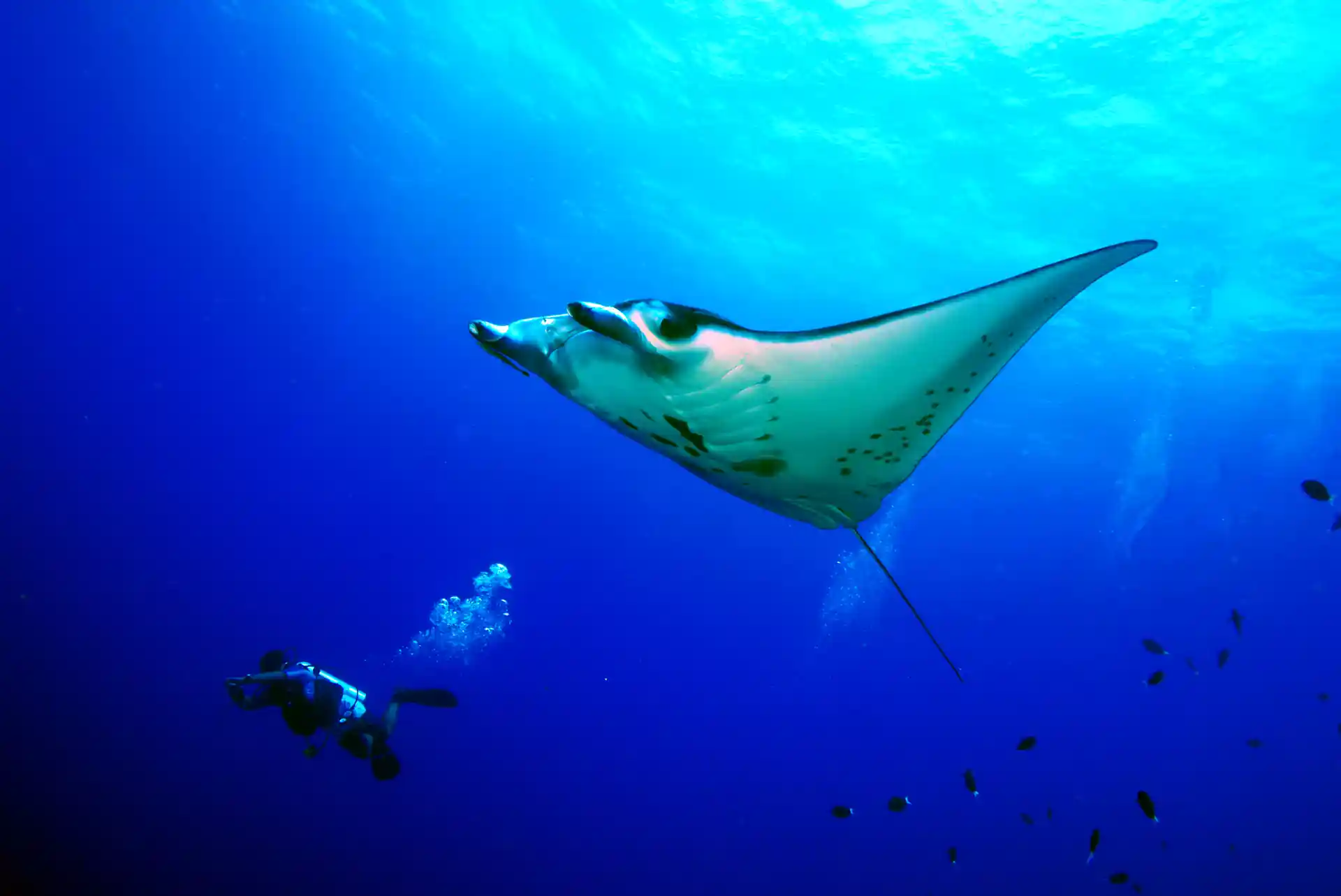 Dive shop photo