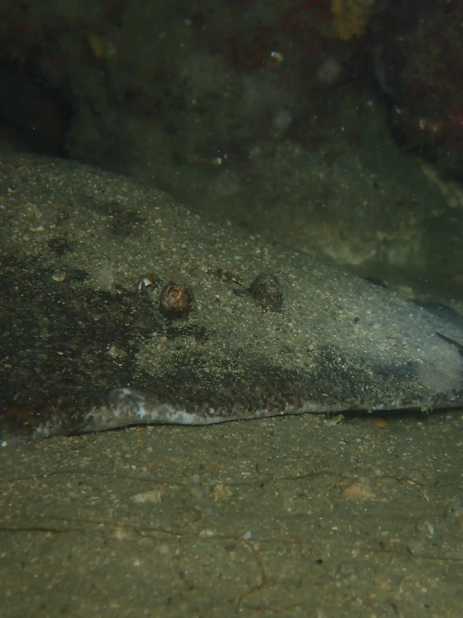 Dive site photo