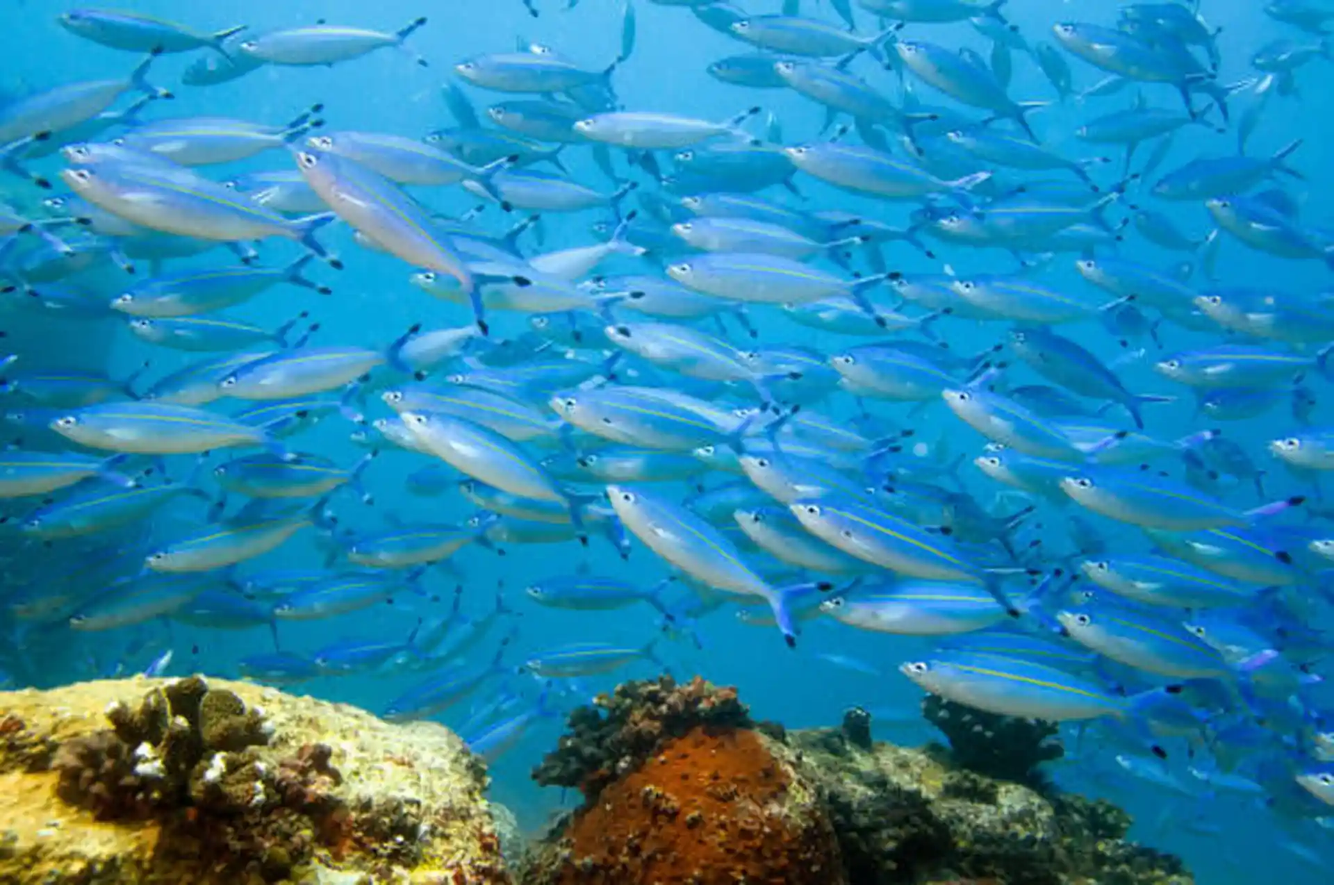 다이빙 포인트 사진