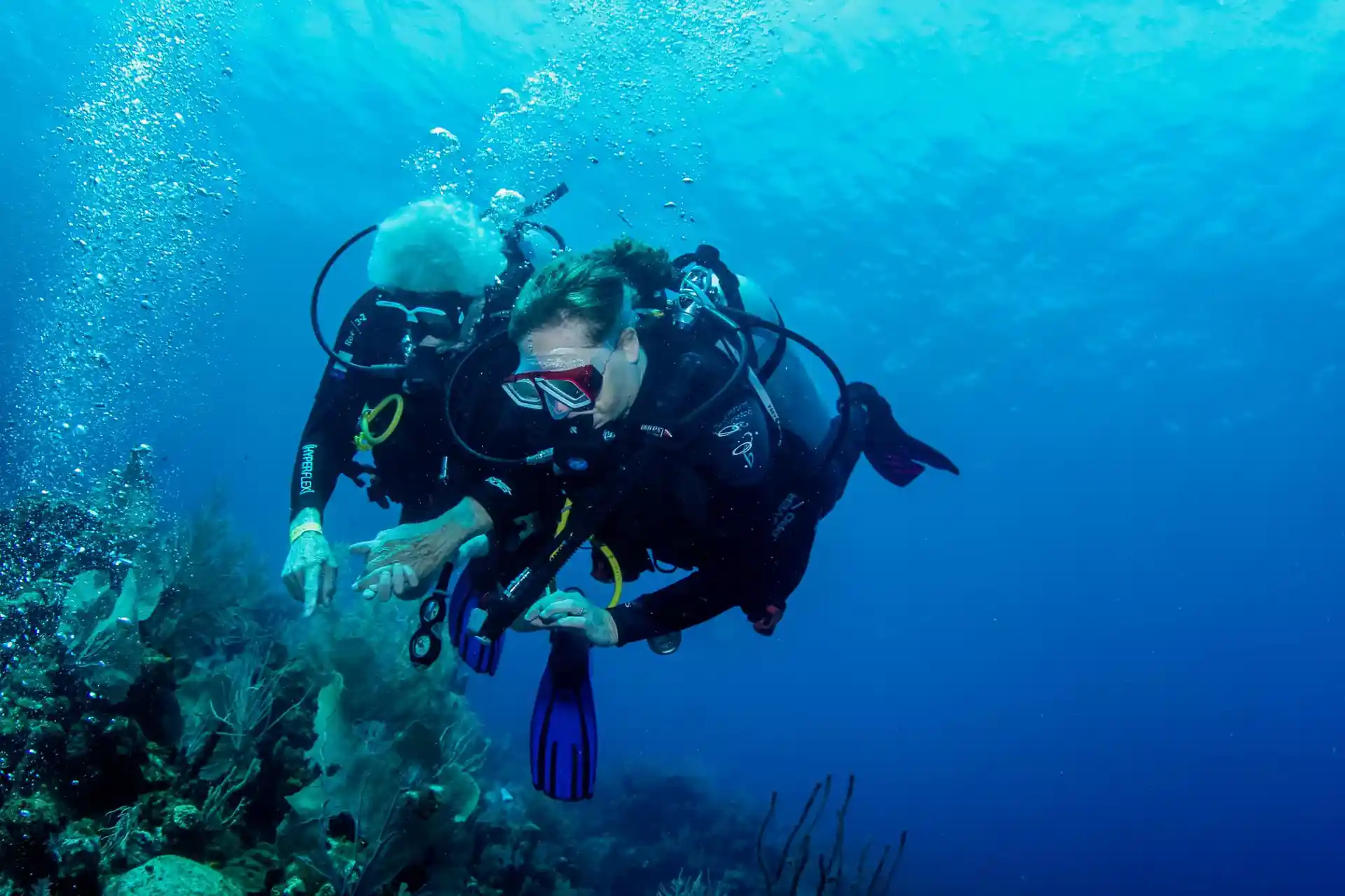 Dive site photo