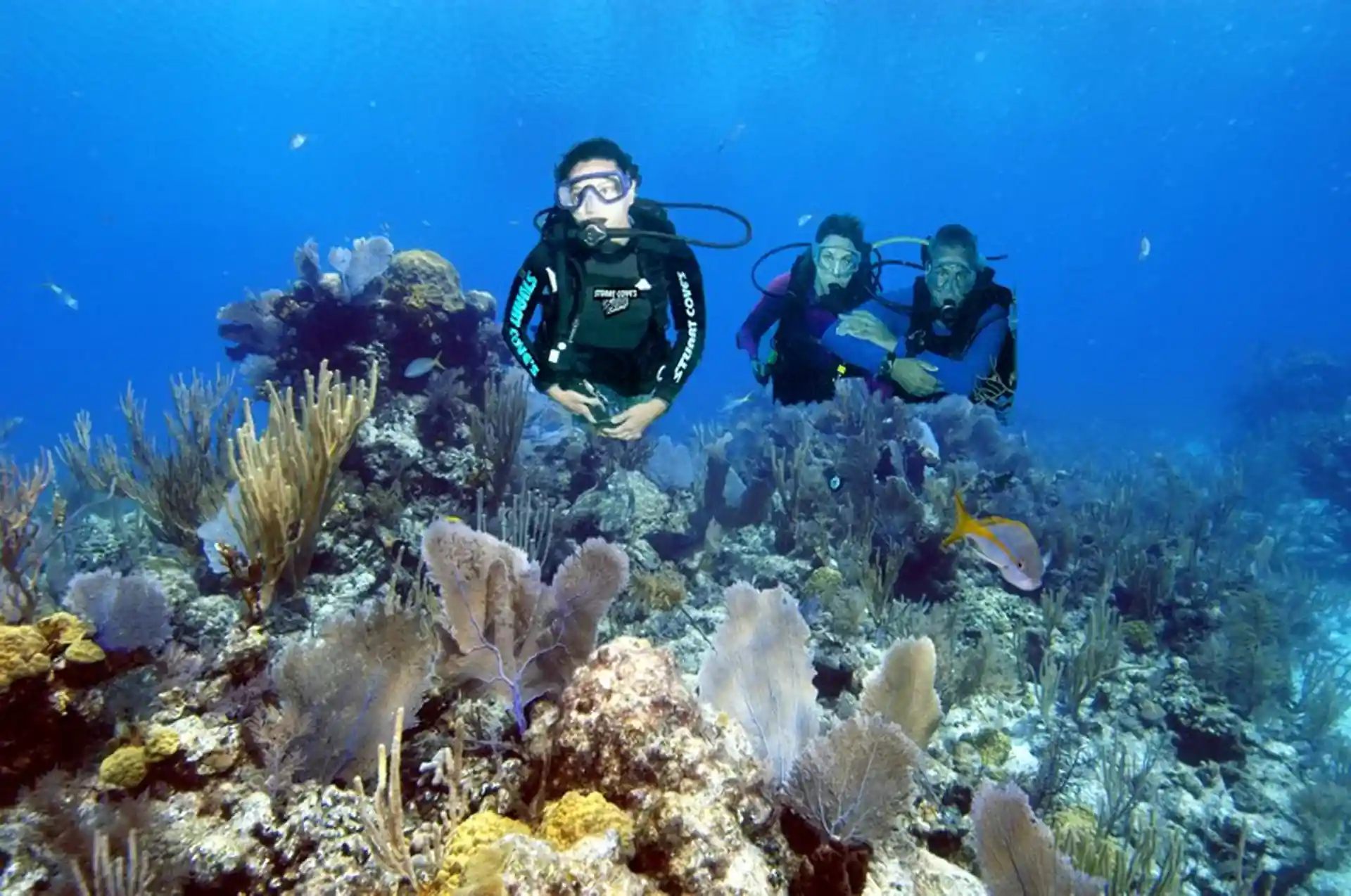 Explore crystal clear waters, colorful tropical reefs and abundant marine life.
