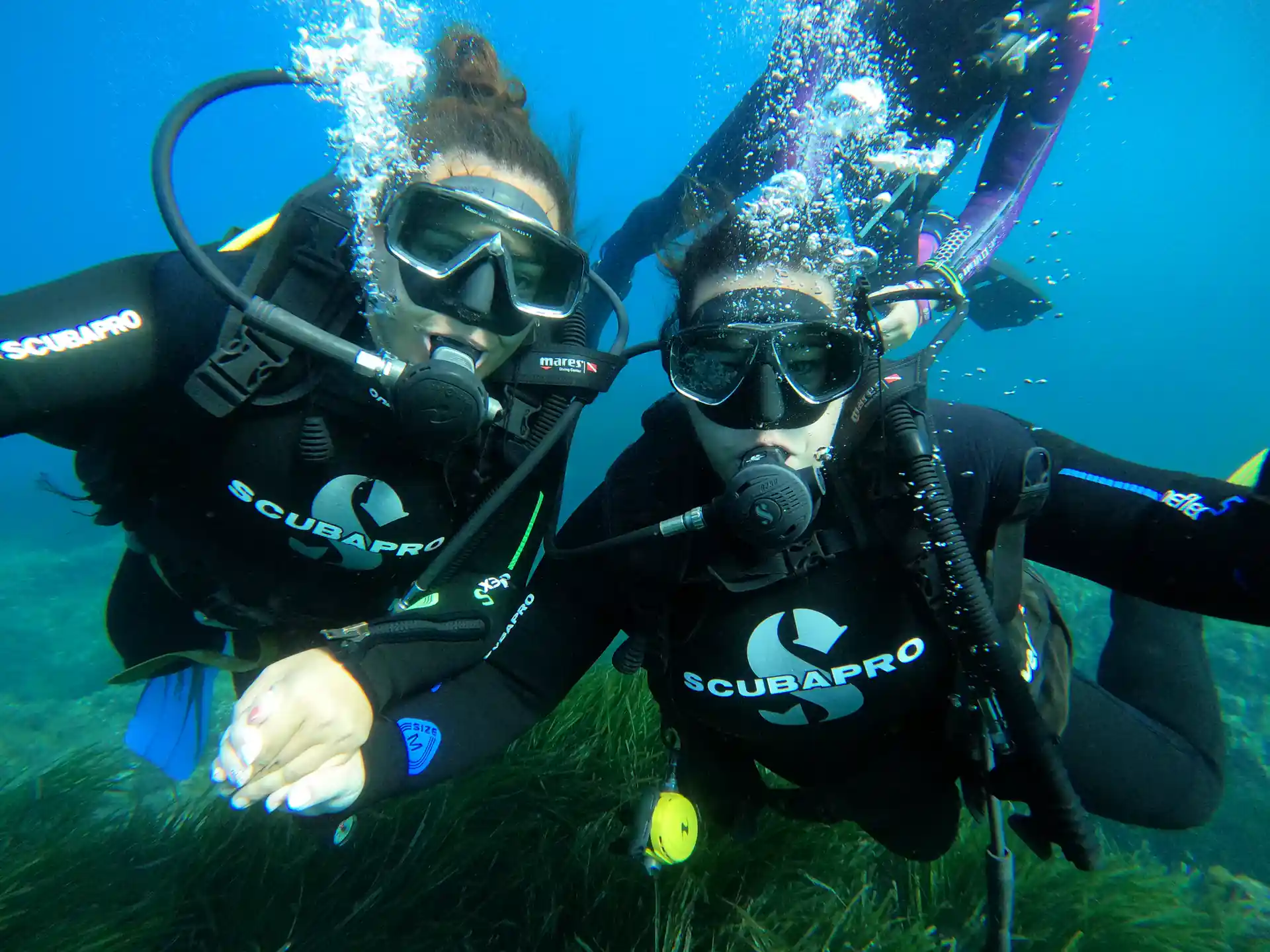 Descubre la magia del mundo submarino