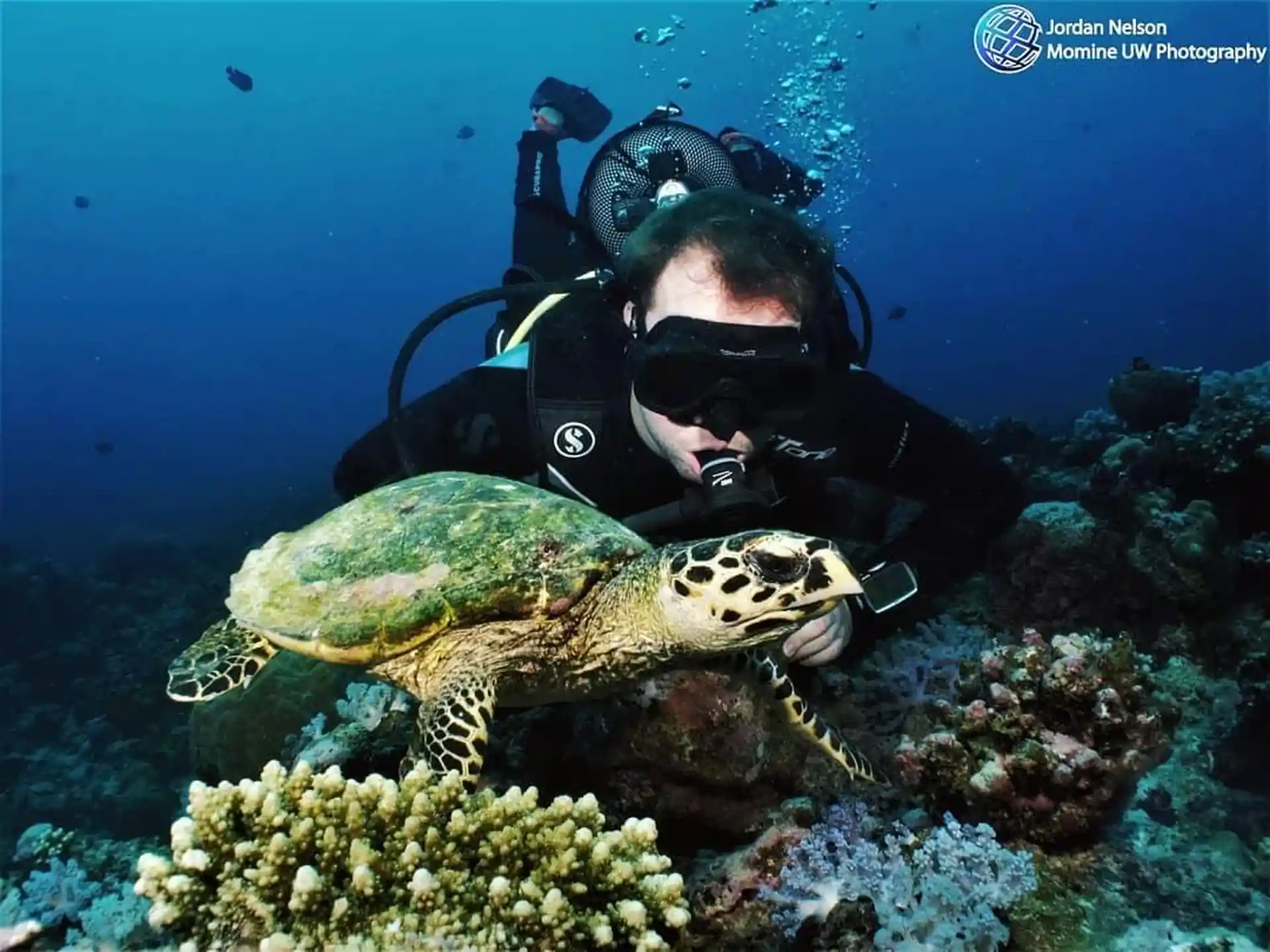 Dive shop photo