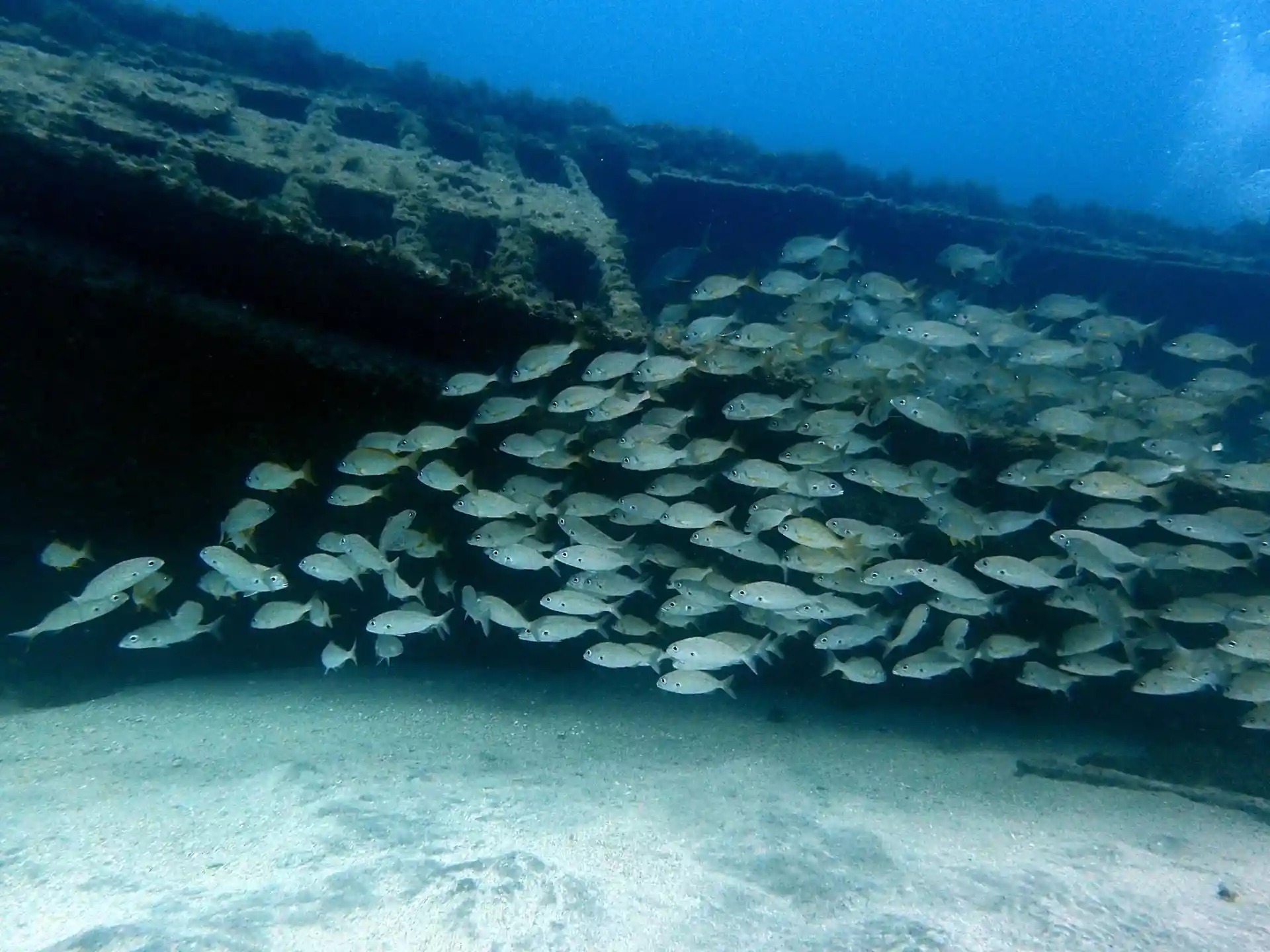 Dive site photo
