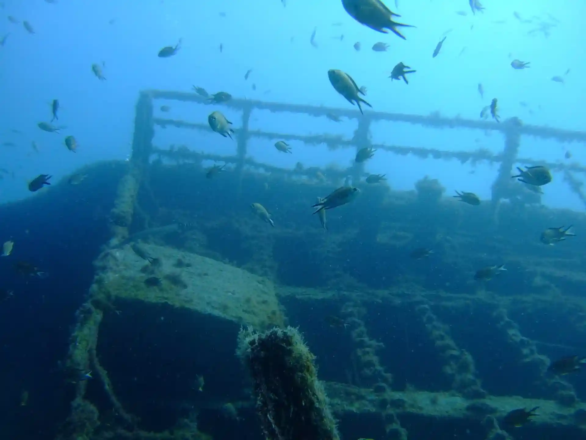 Fancy a wreck dive