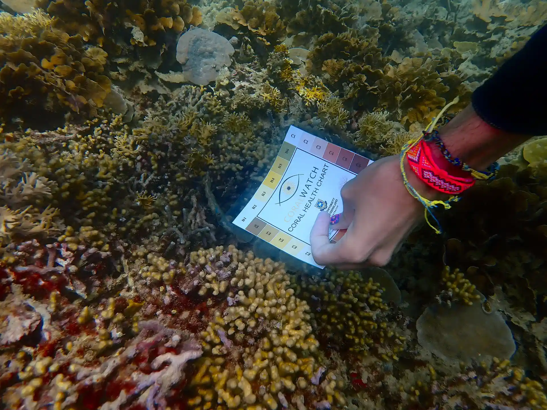 Photo de l'activité