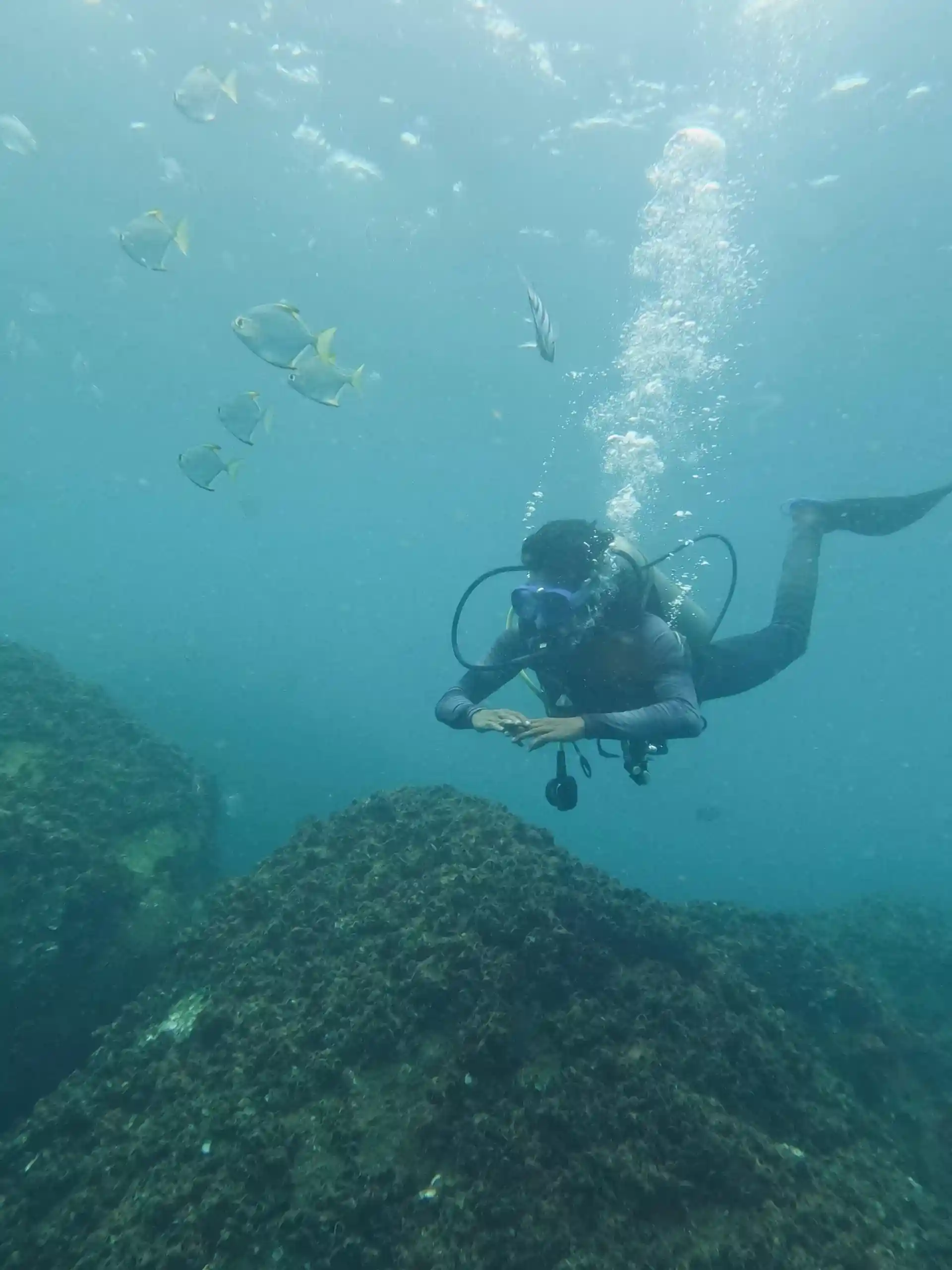 Dive shop photo