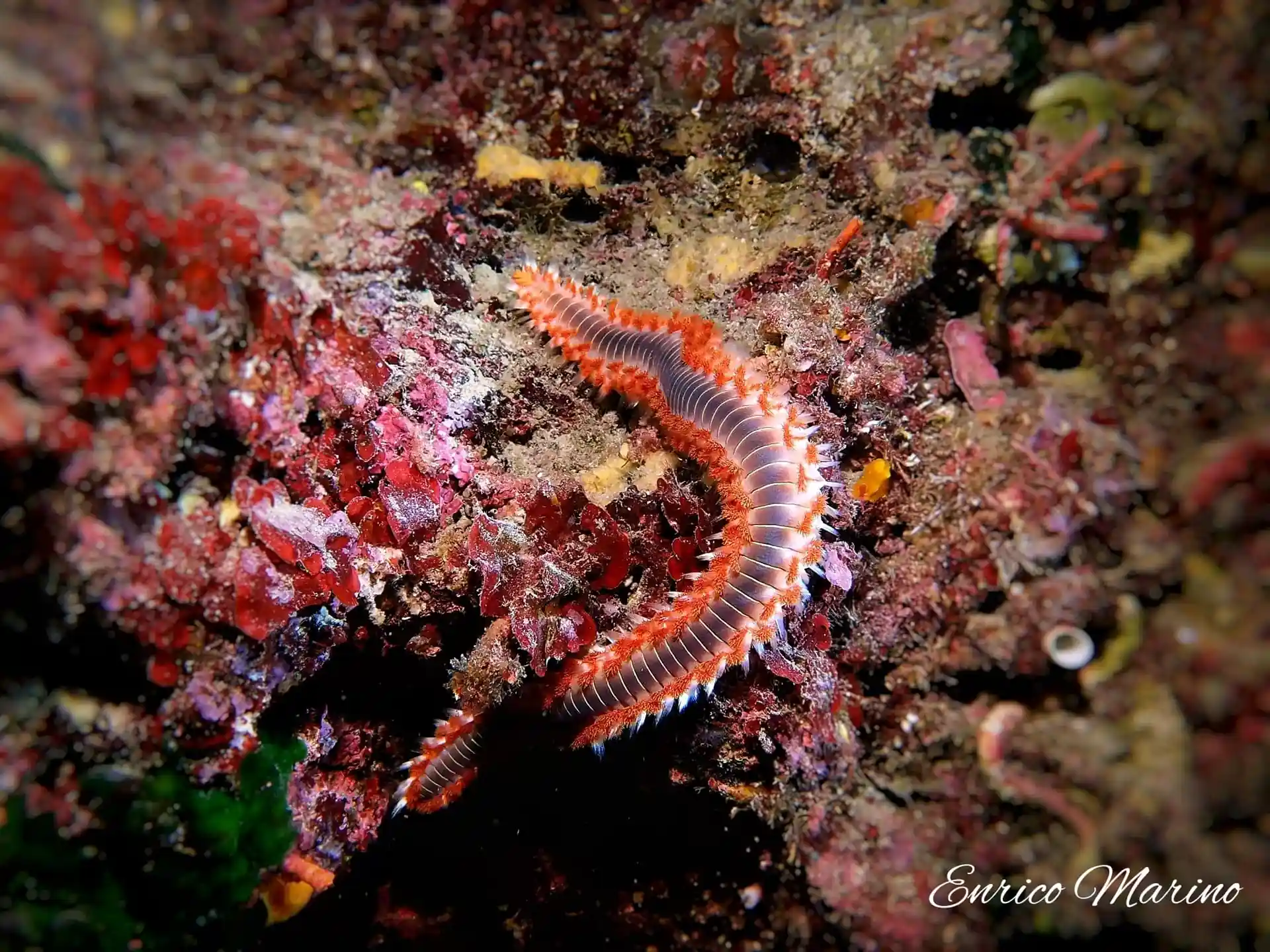 Photo du site de plongée