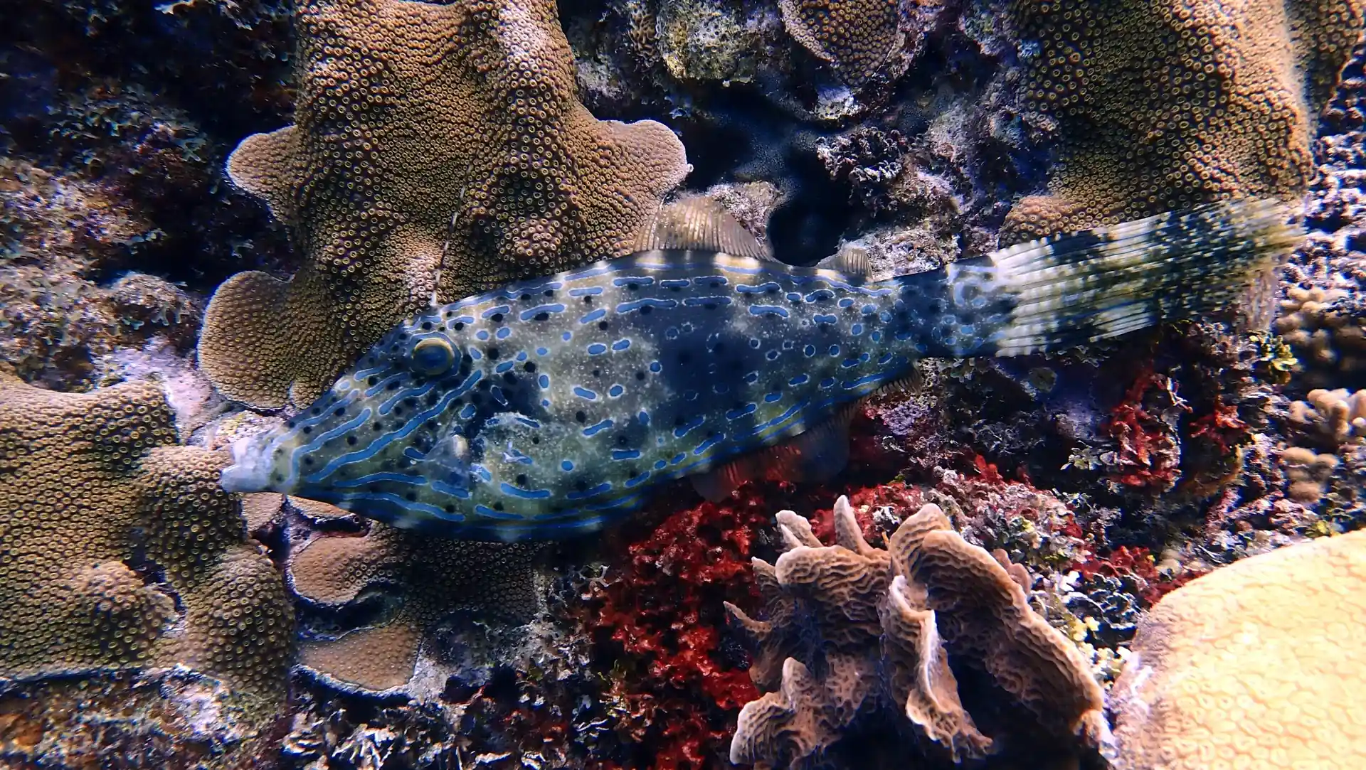 다이빙 포인트 사진