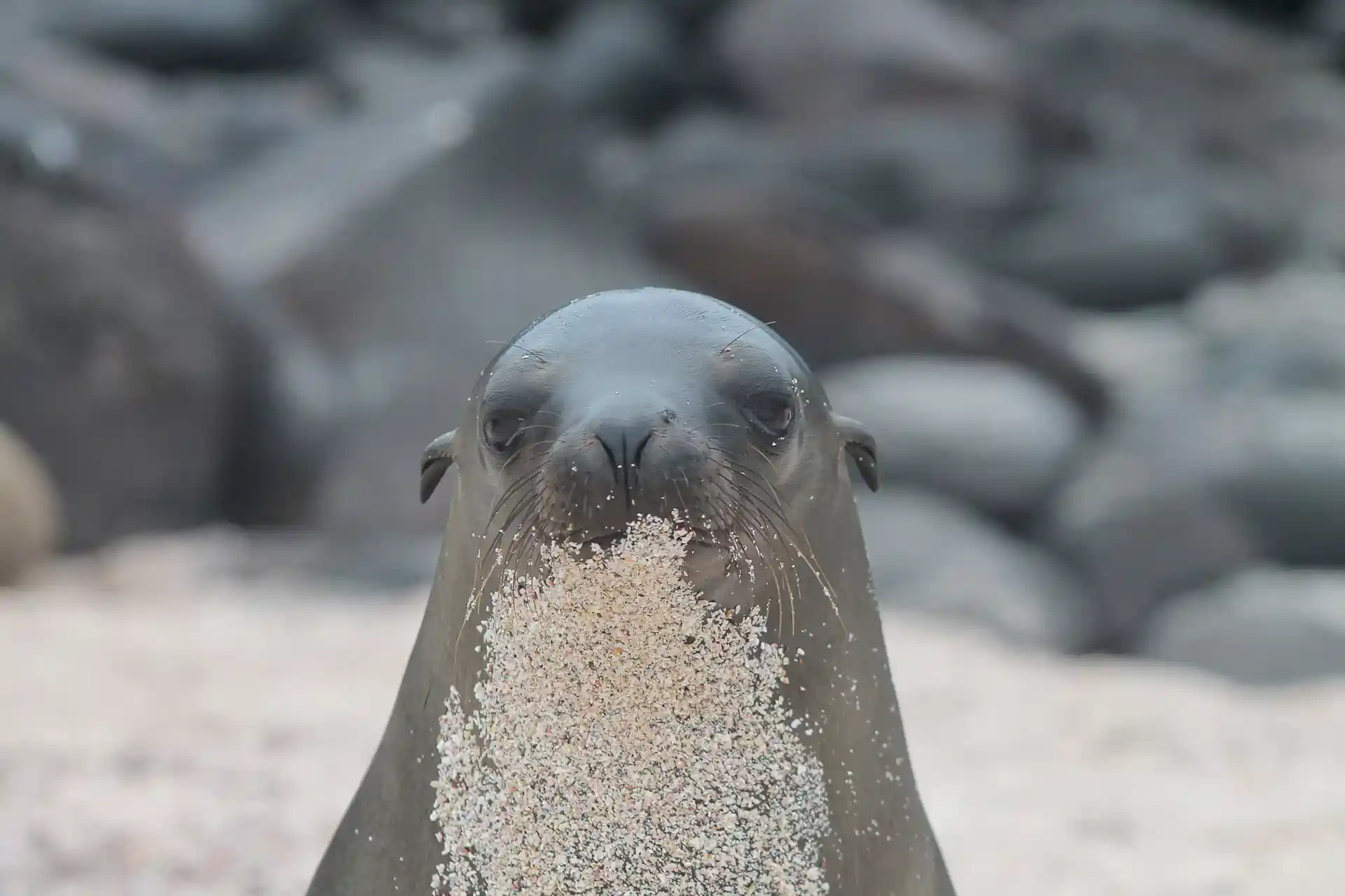 Foto des Tauchshops
